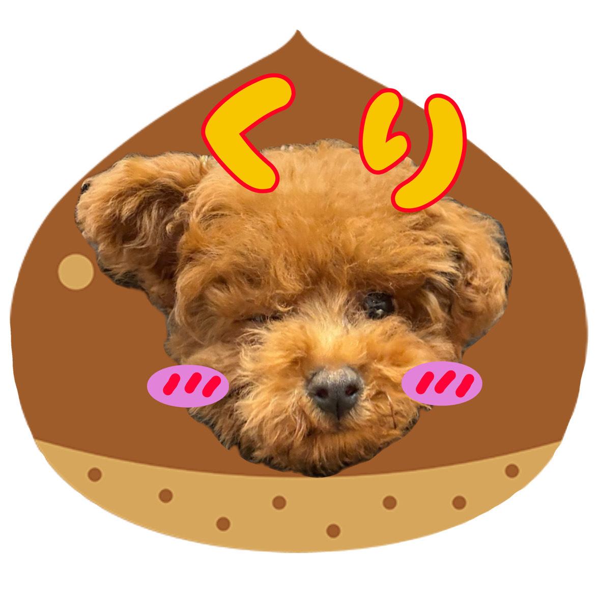 関西弁/みんなで寝落ちしよ🐑💤