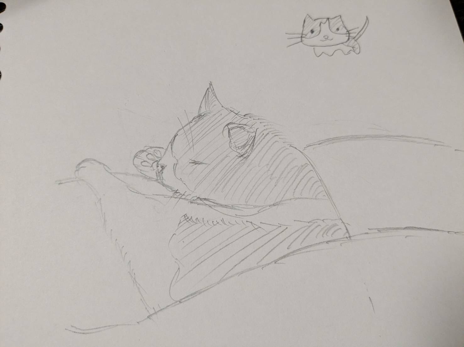 午後の微睡みASMR🍂