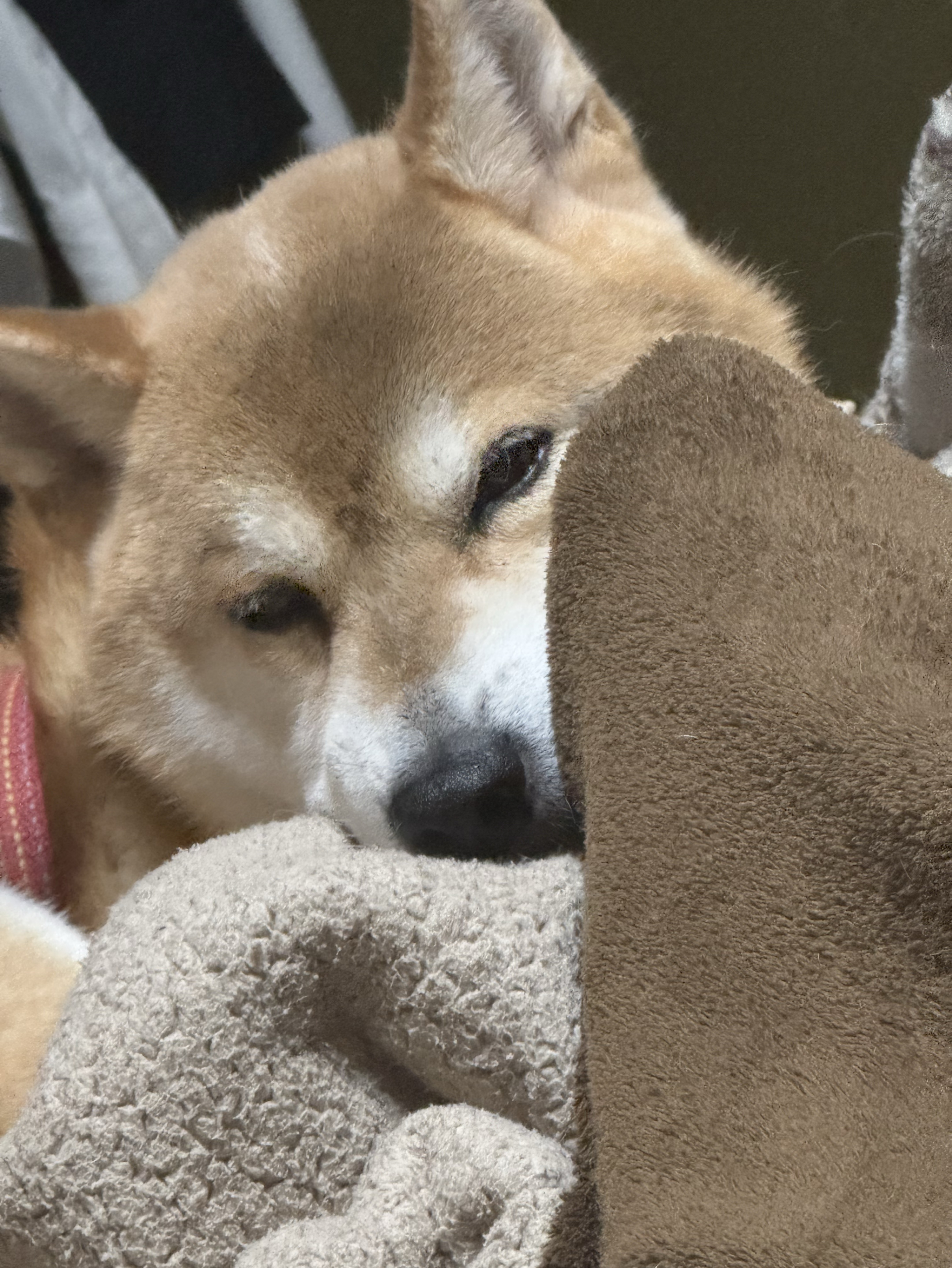 初潜〇一旦覗いて見ませんか？