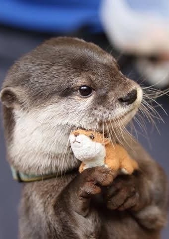 寝落ちしてみませんか？？