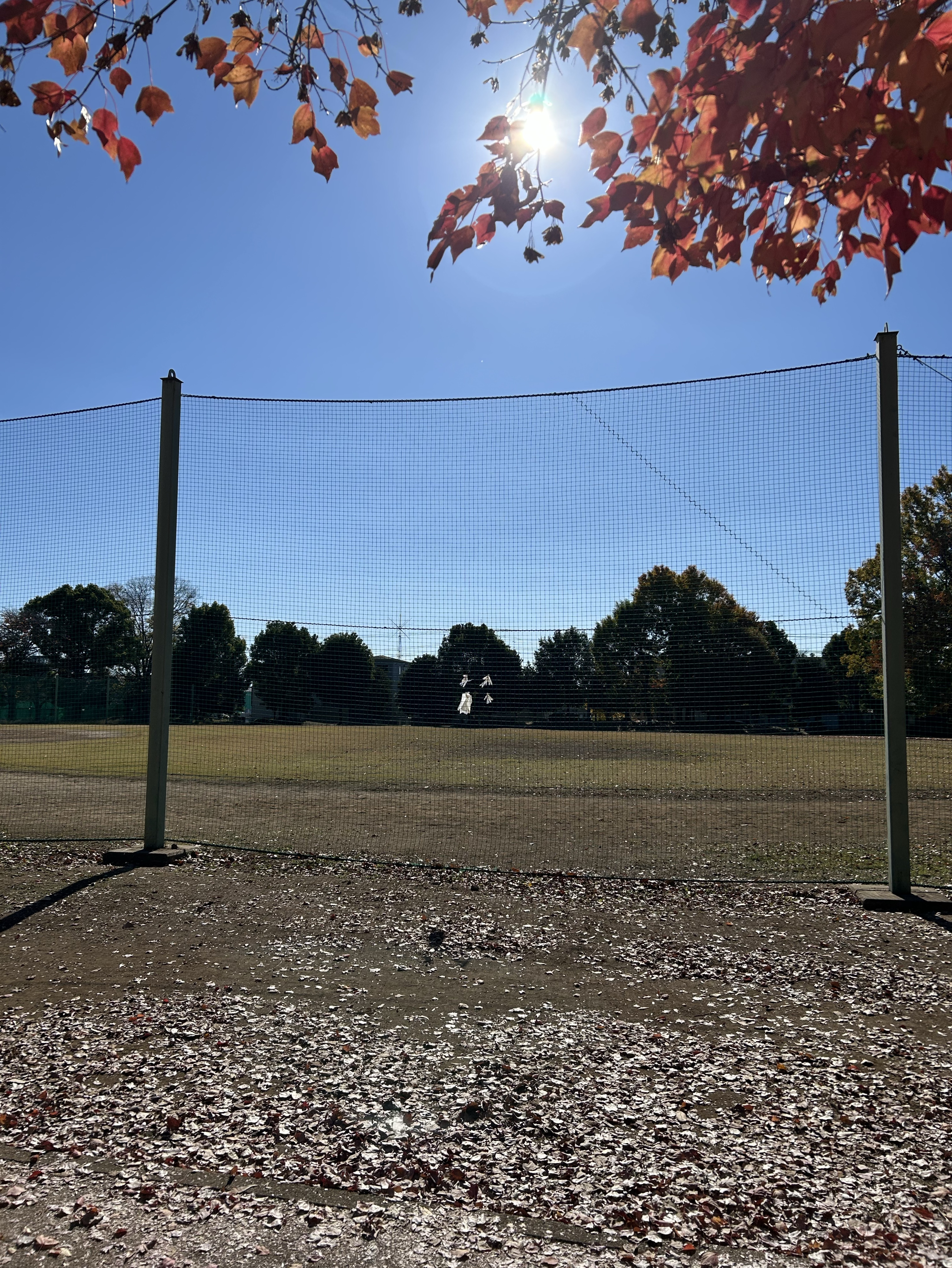 ギター弾き語り🎸🍴🌞