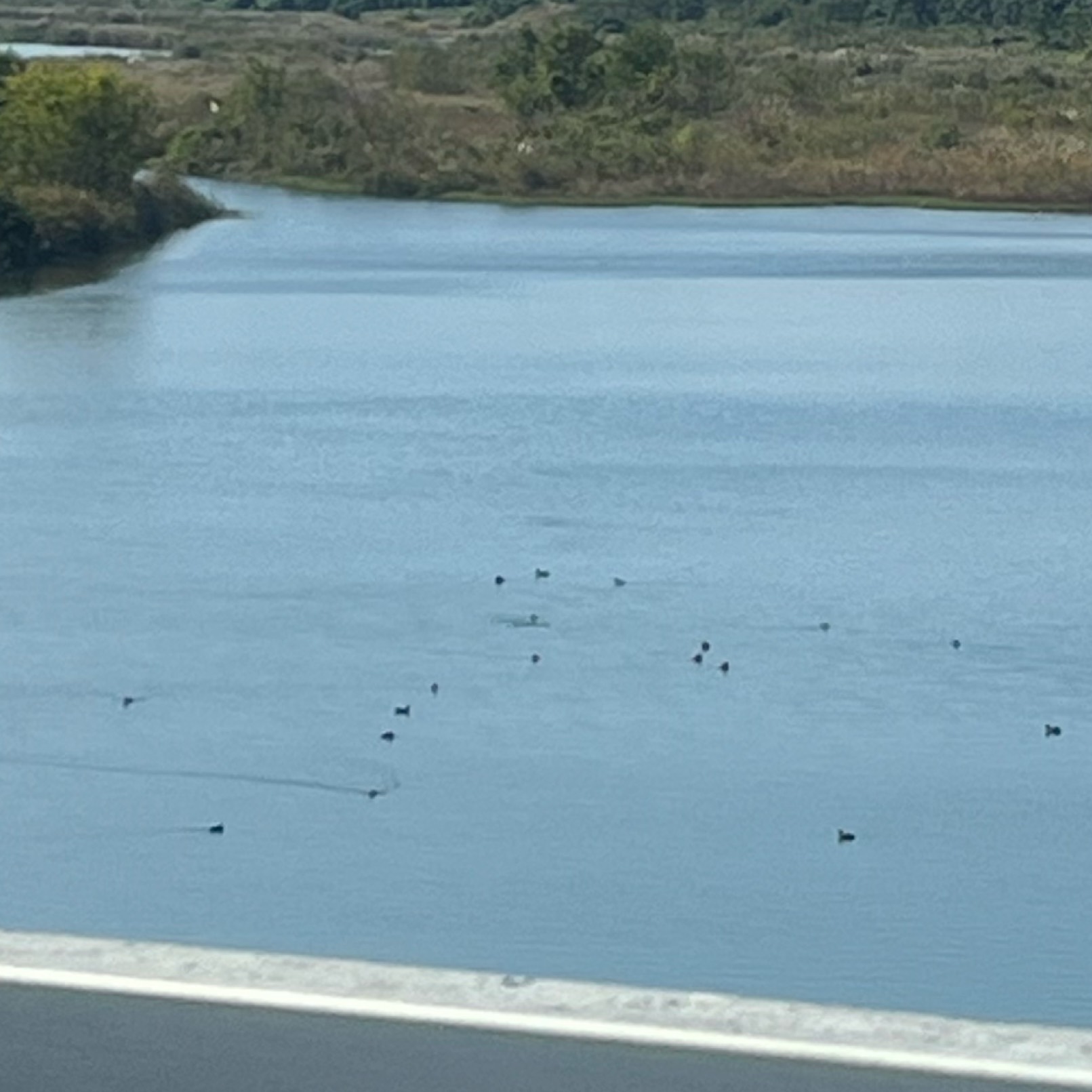 洗濯待ちギター