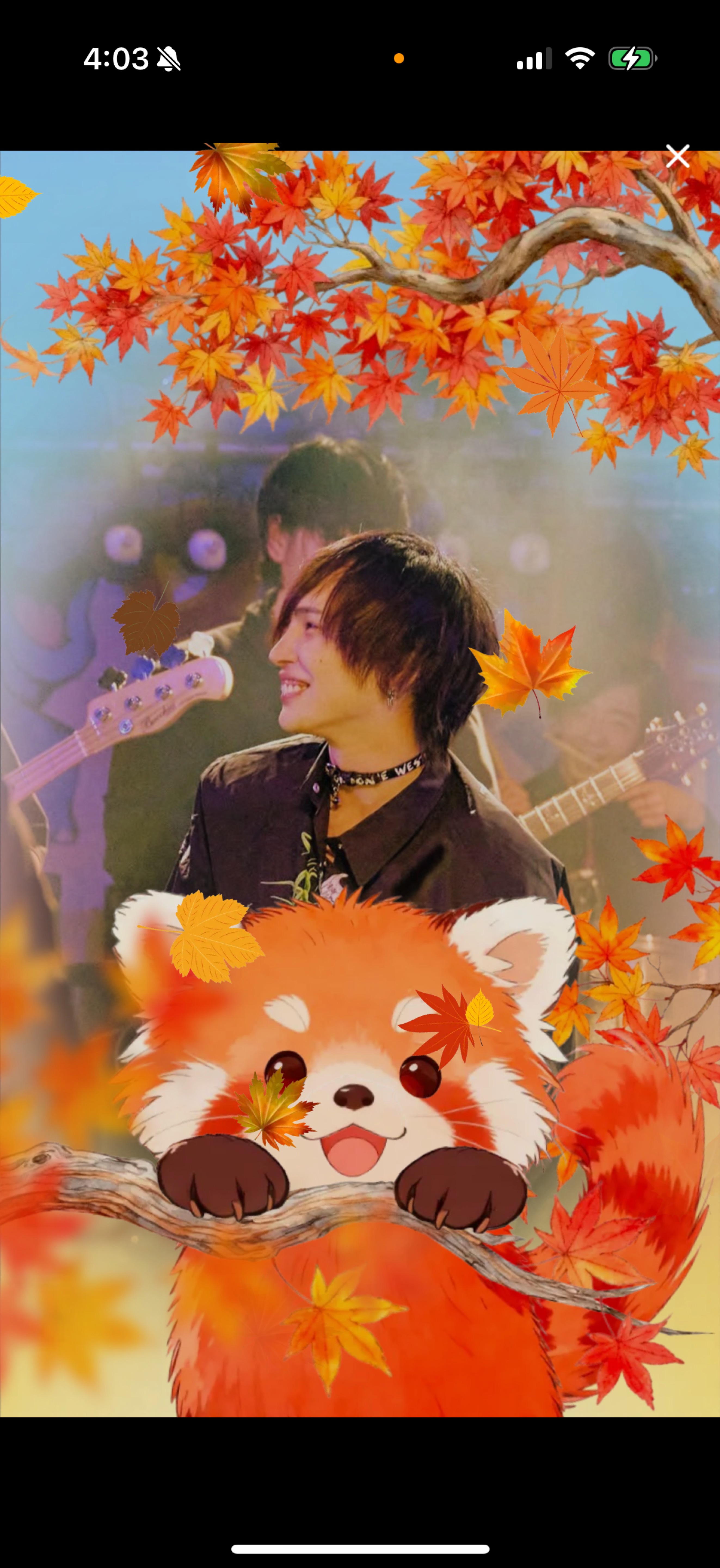 11/23 お気軽に┊︎歌と雑談