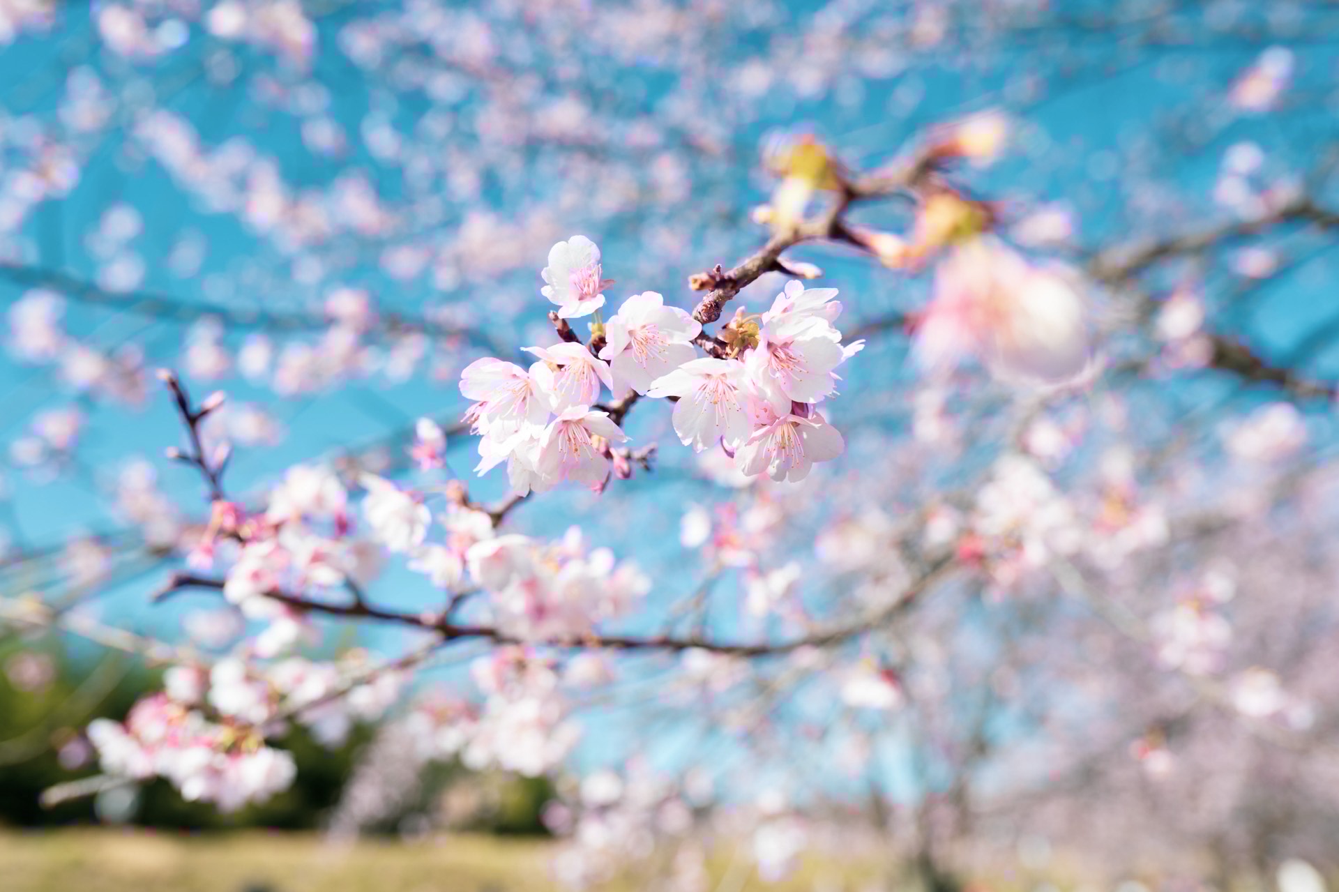 ギターれんしゅう