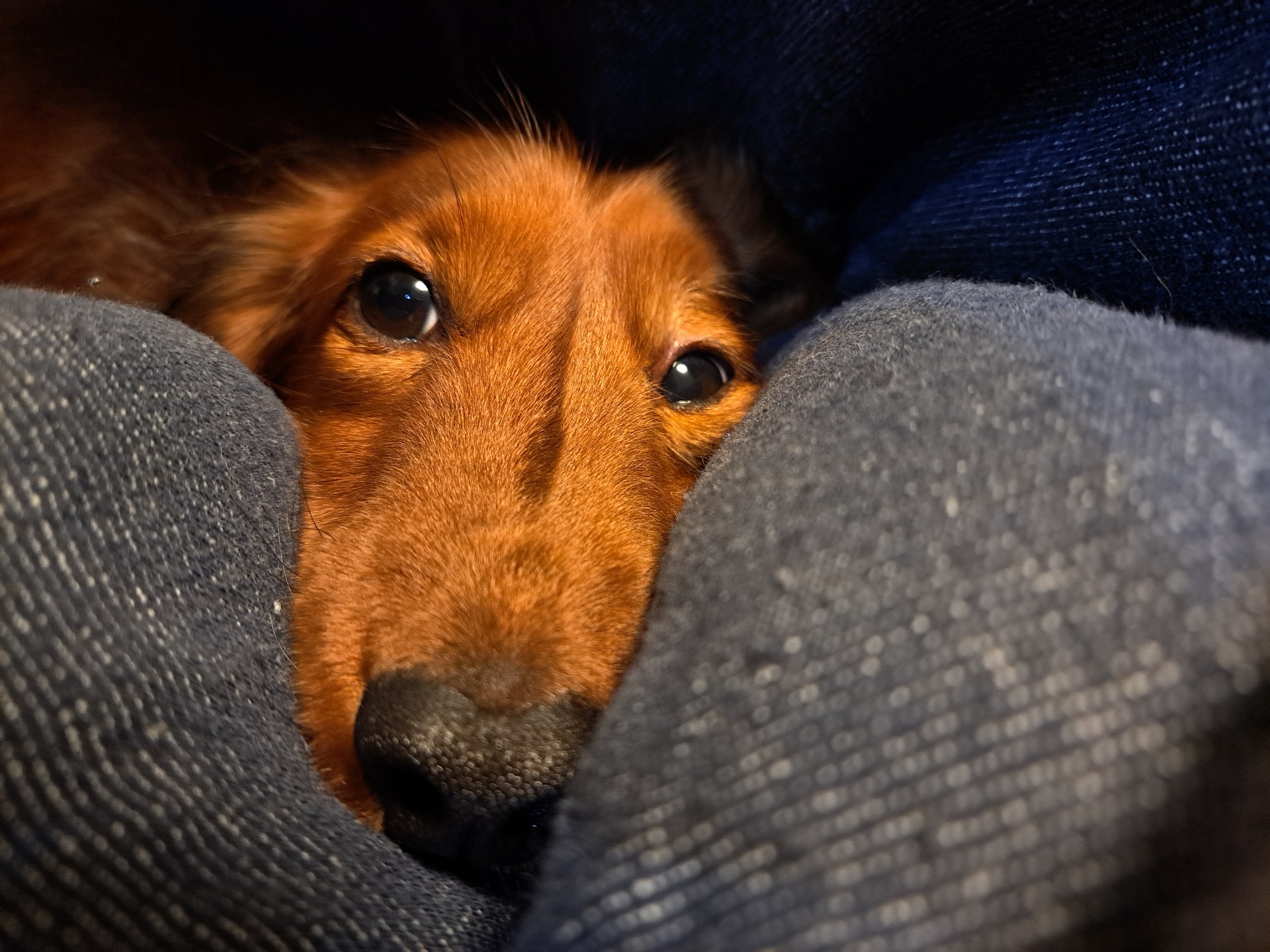 初見、コラボ大歓迎の枠