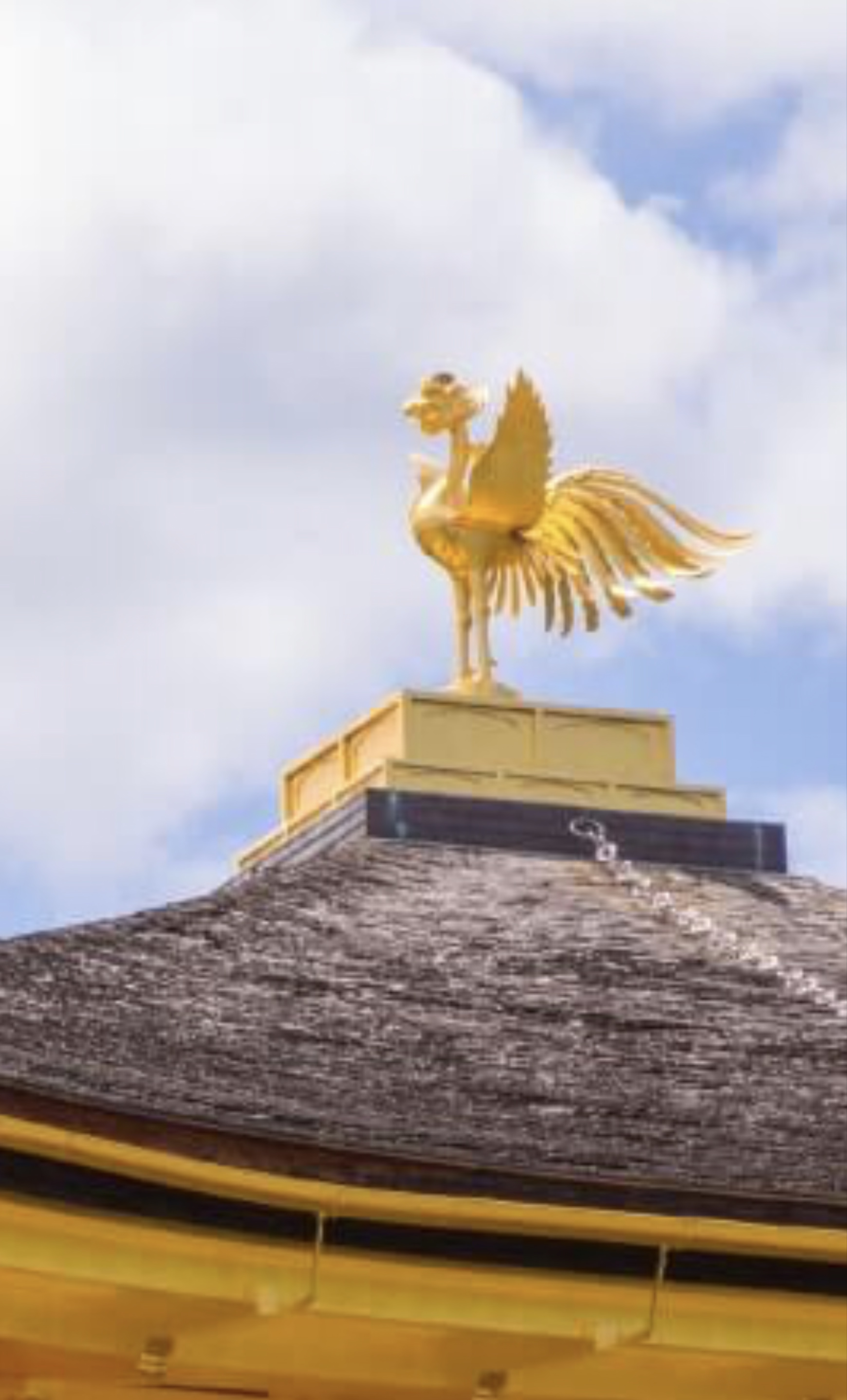 ẗ̤⚓︎ 定時枠