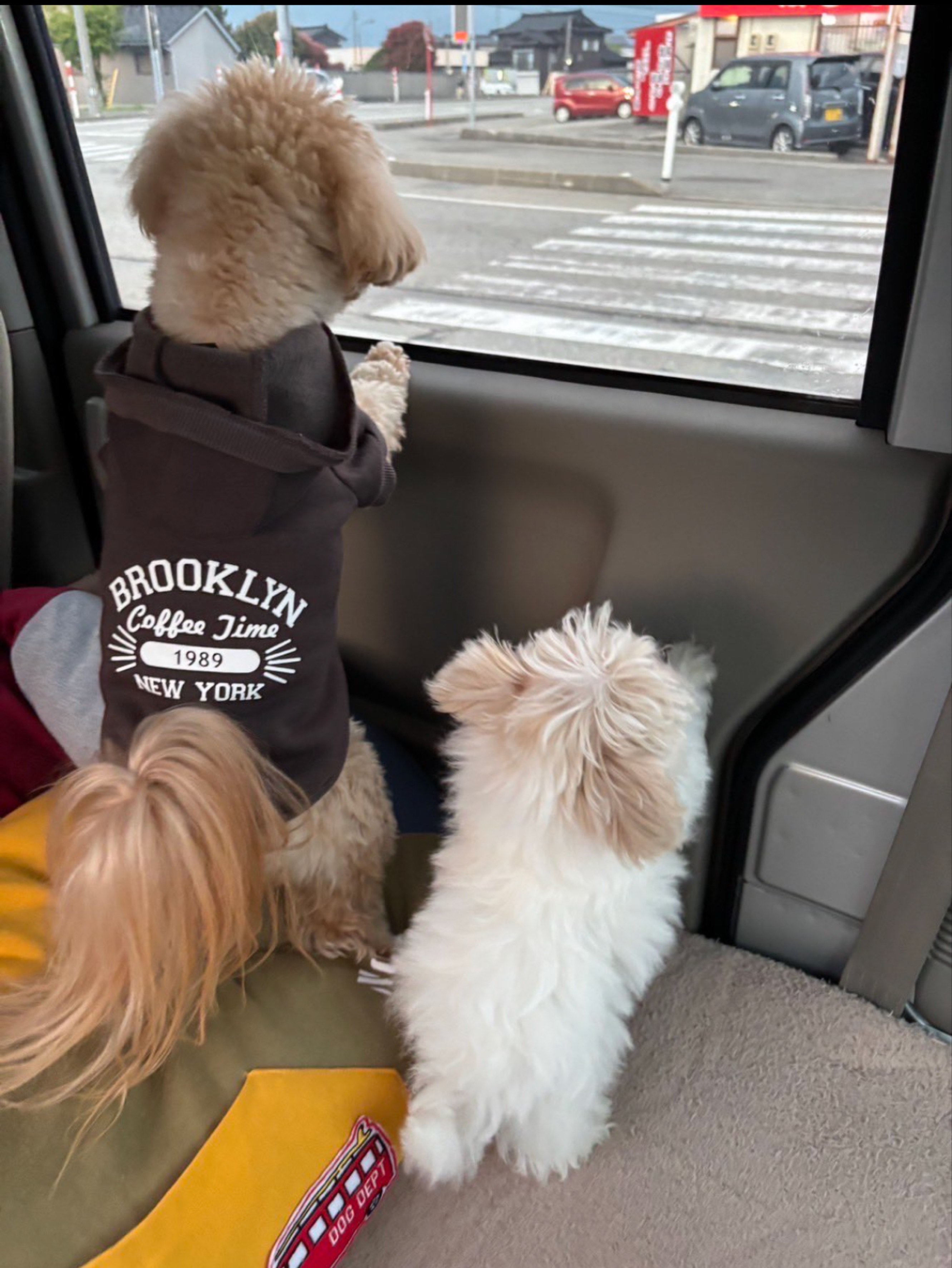 吉田塾わしは暇じゃ