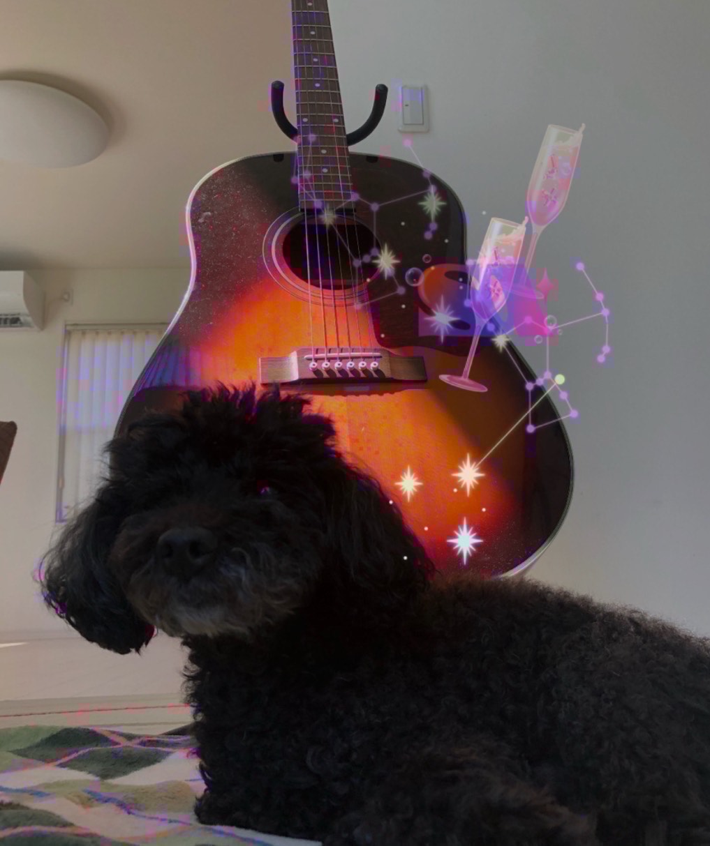 あんこおじさんのギター奮闘記