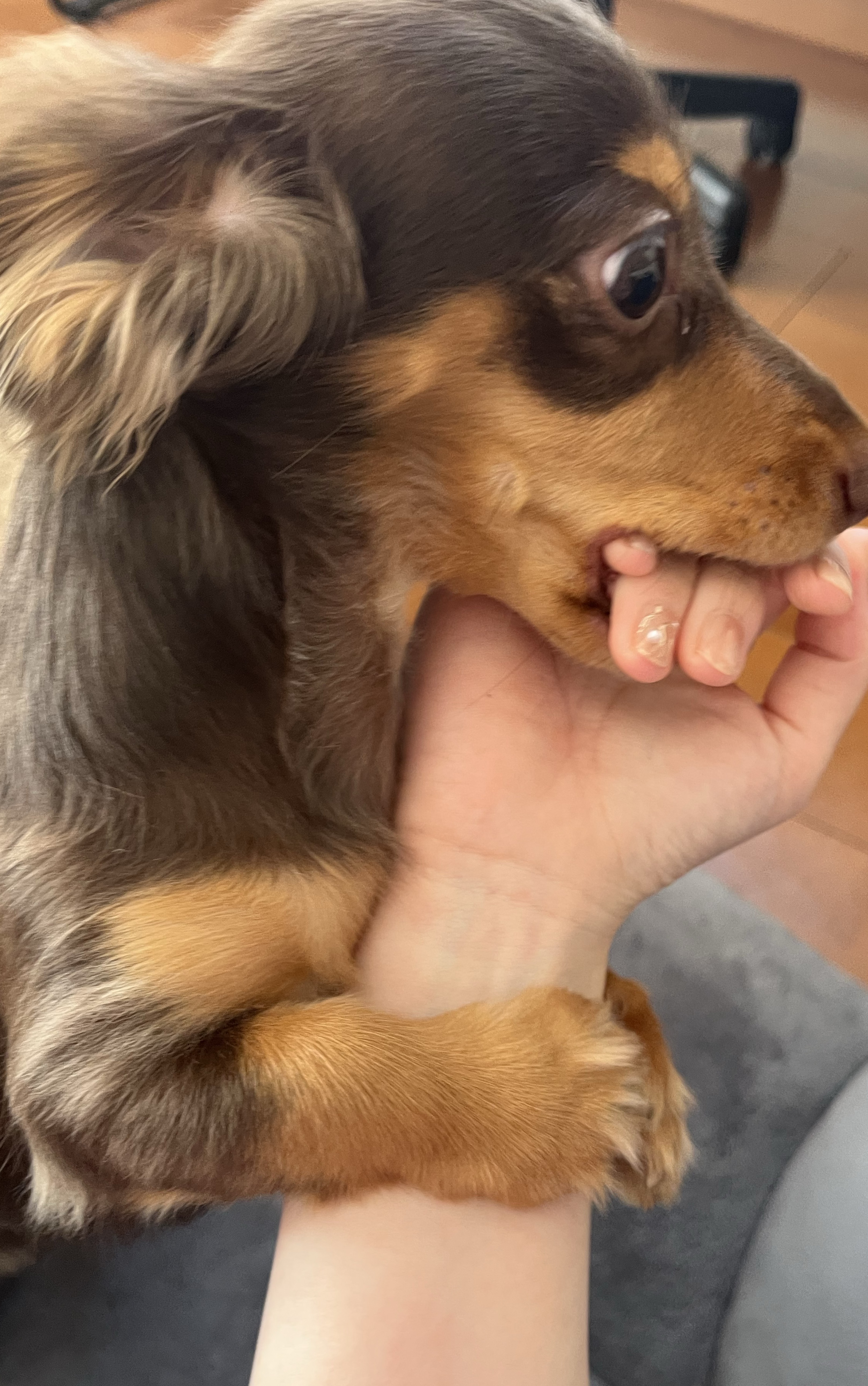 博多女子のお喋り部屋💜ྀི