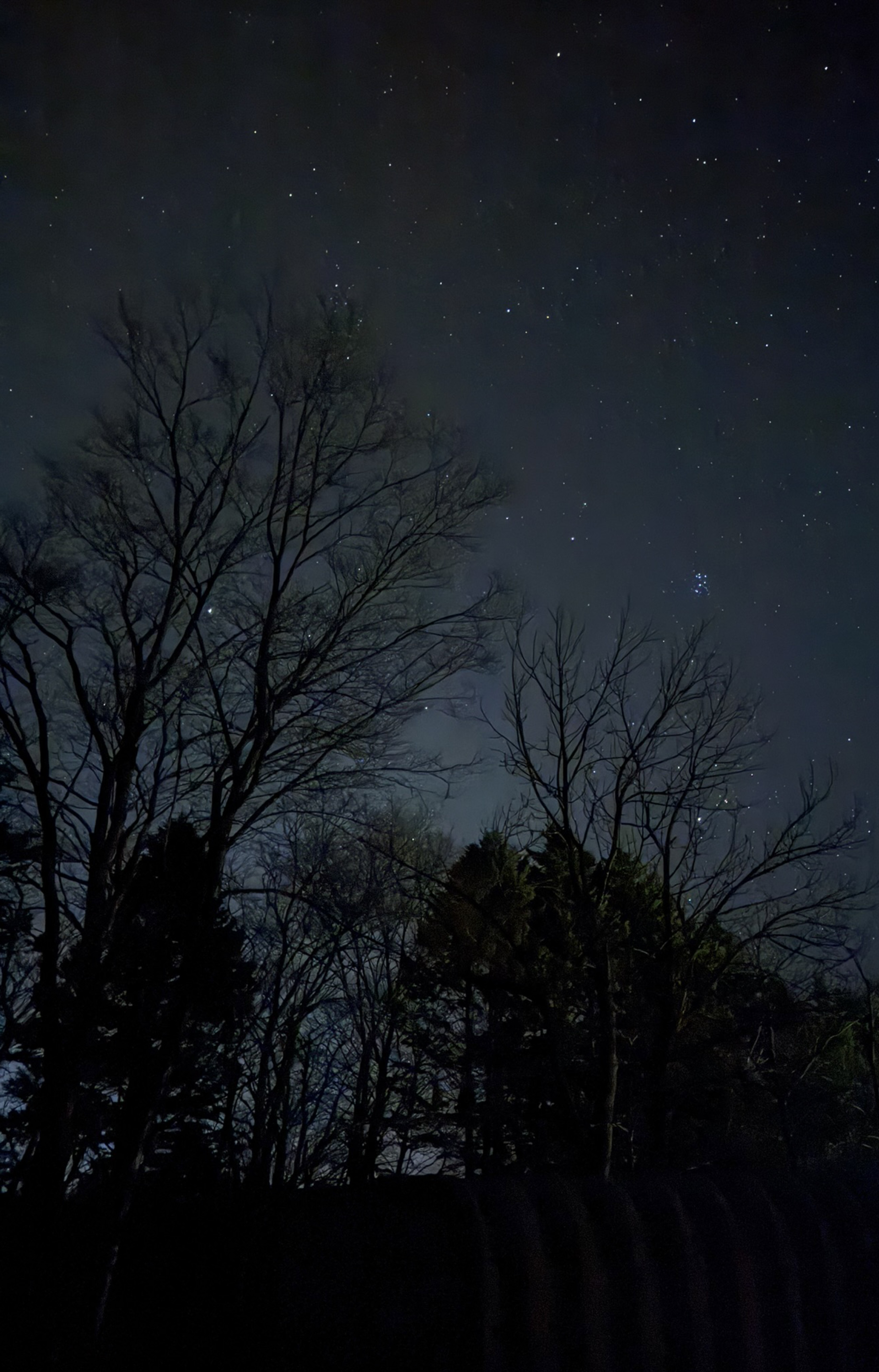 日曜日のタッチダウン