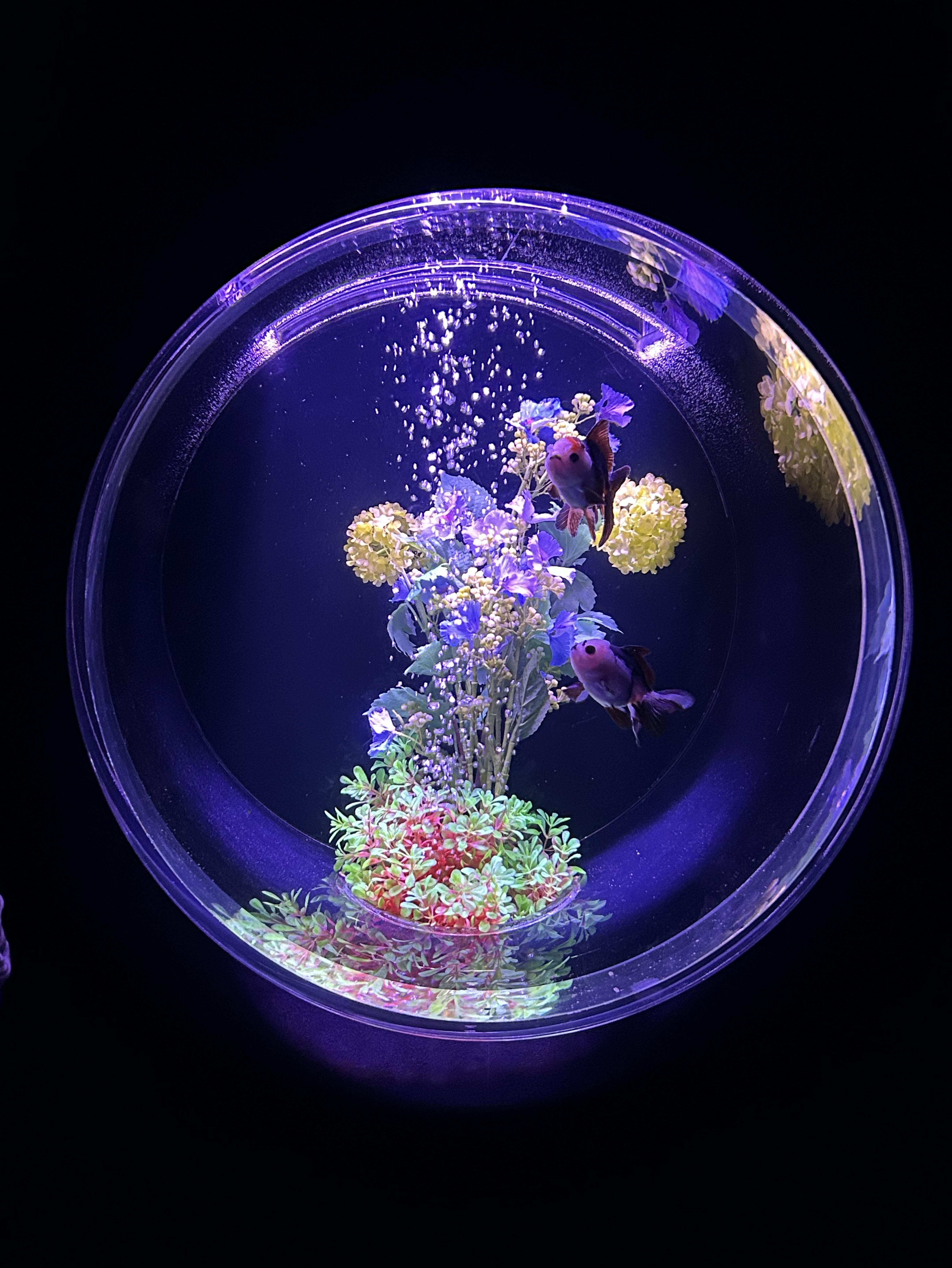 中低音/介護福祉士 元気×まったりを