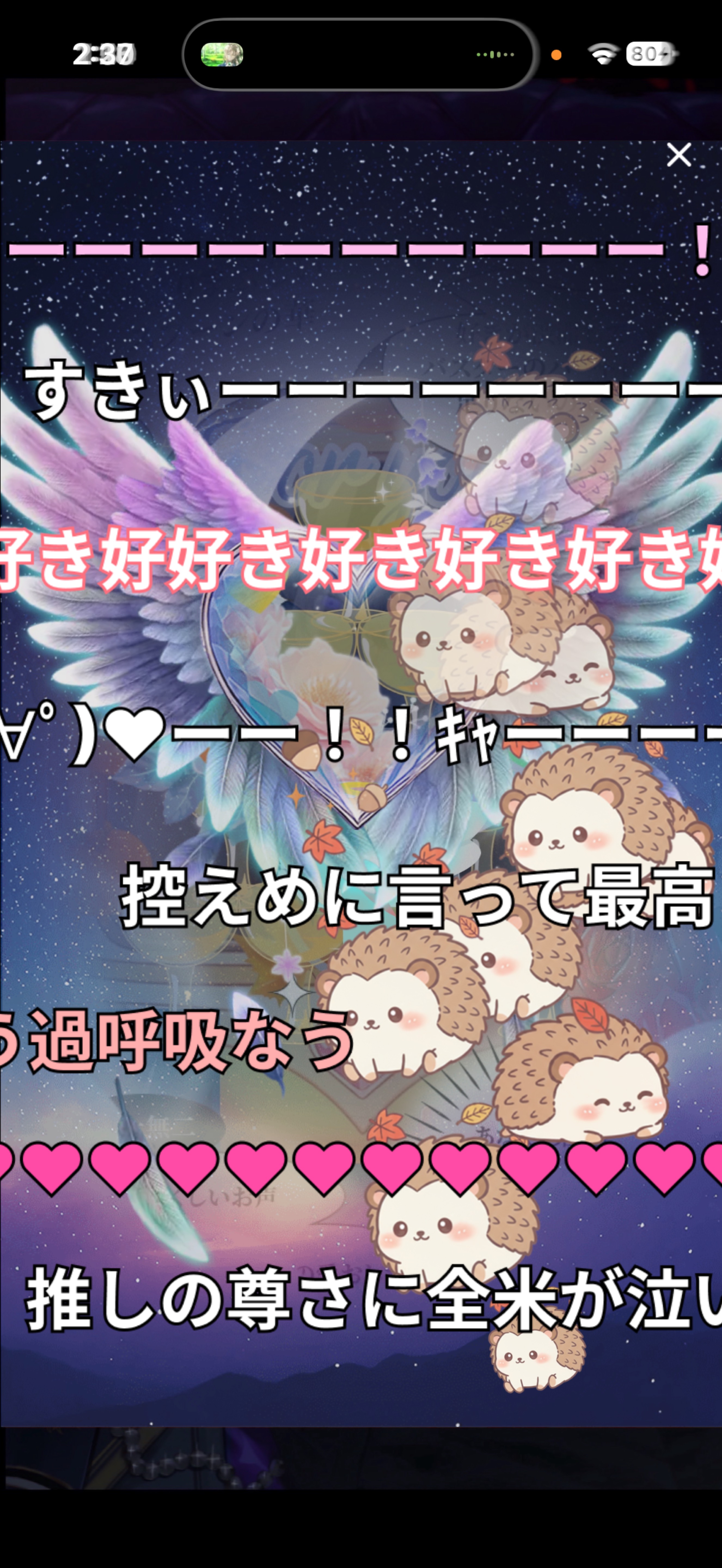 の ん び り 𓂃◌𓈒𓐍