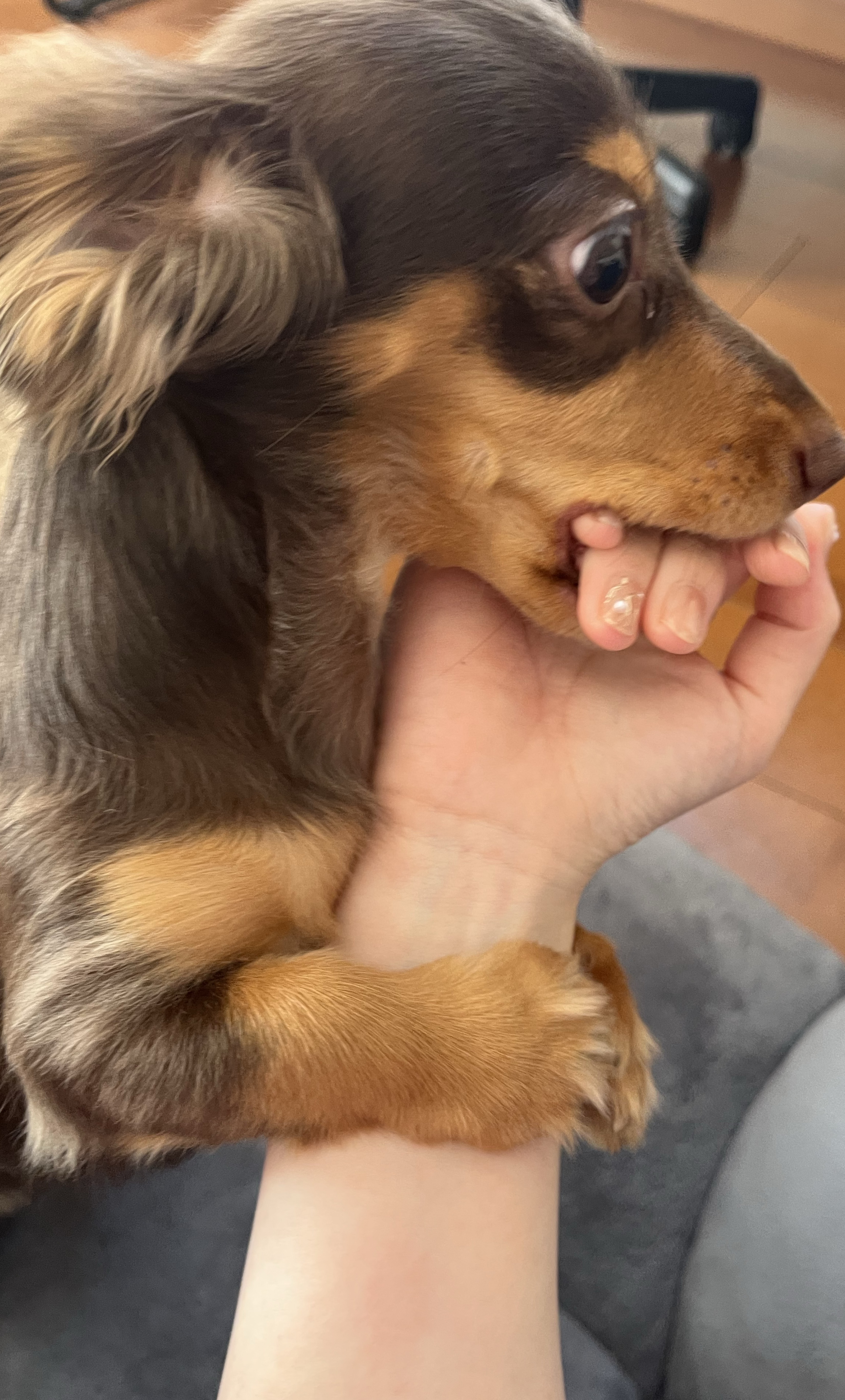 博多女子のお喋り部屋💜ྀི