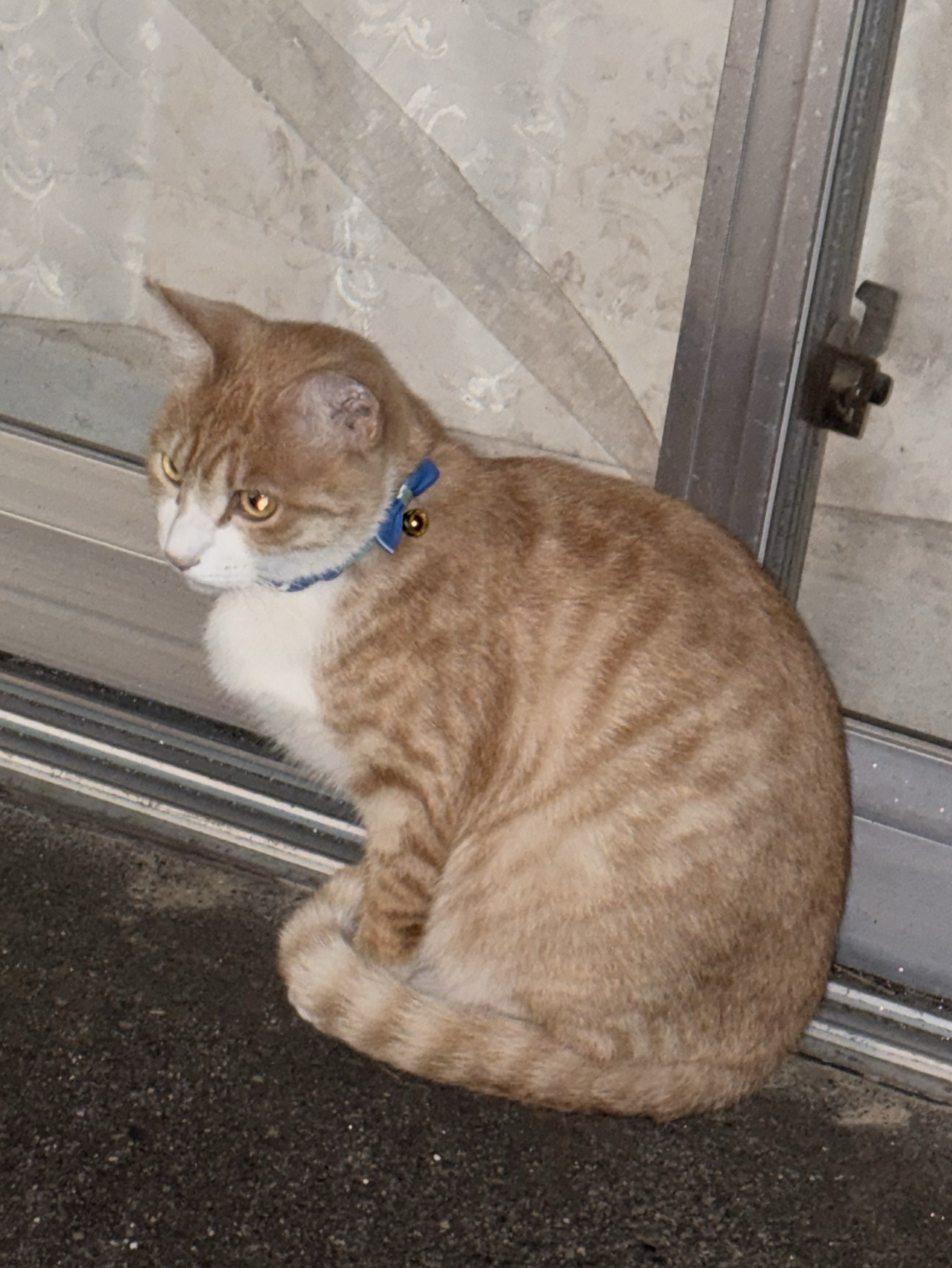 少し　ギターうた