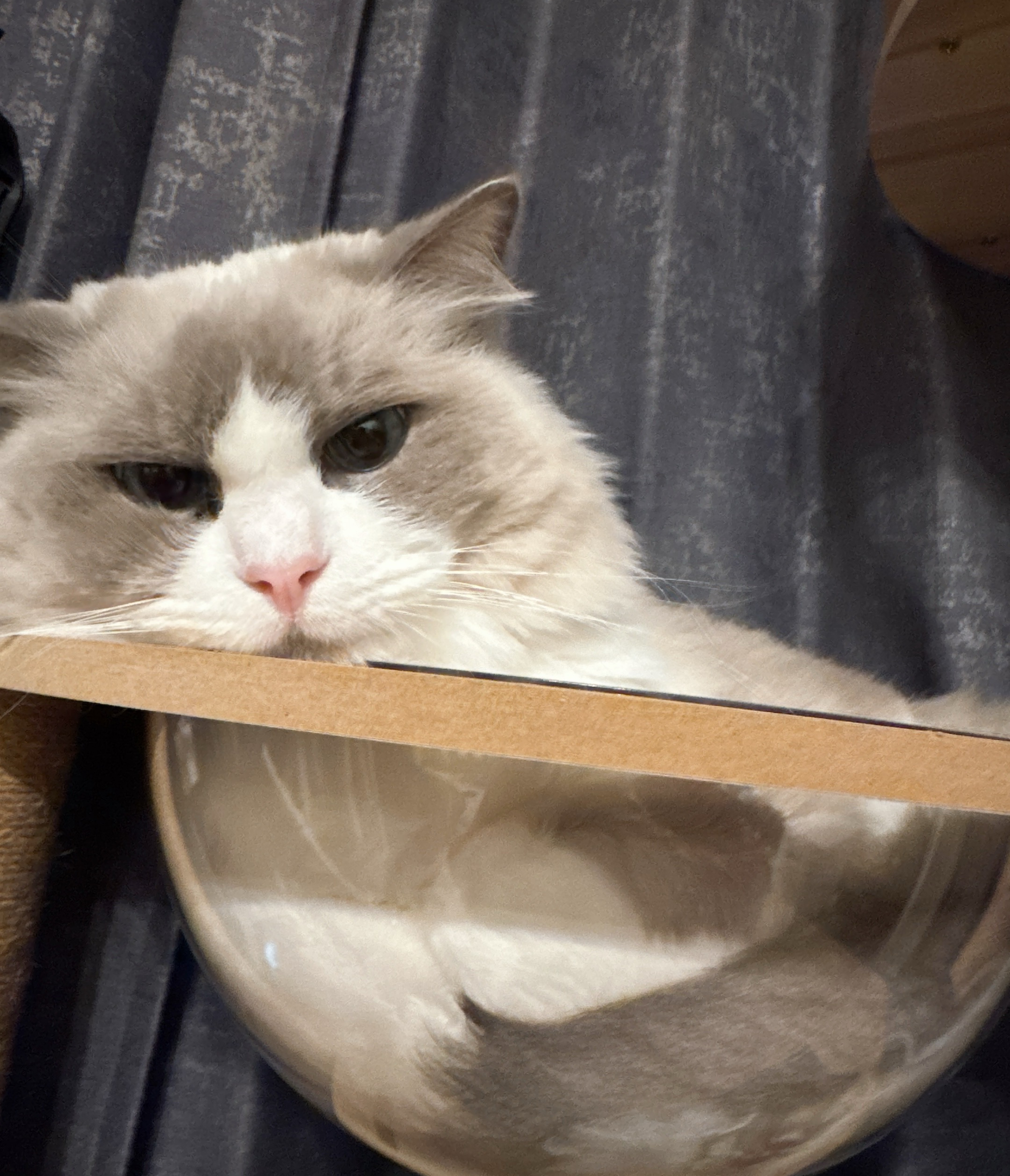 おいでおいで〜🔰潜👌🏻⸝⋆