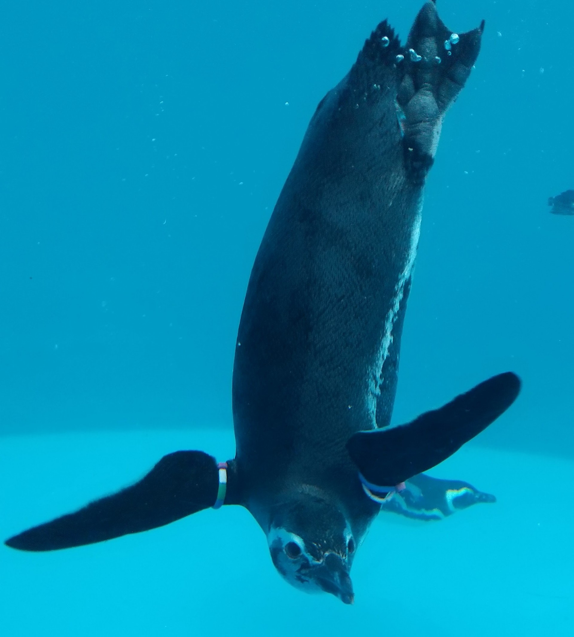 久々の寝落ち🫧 ※枠主女です