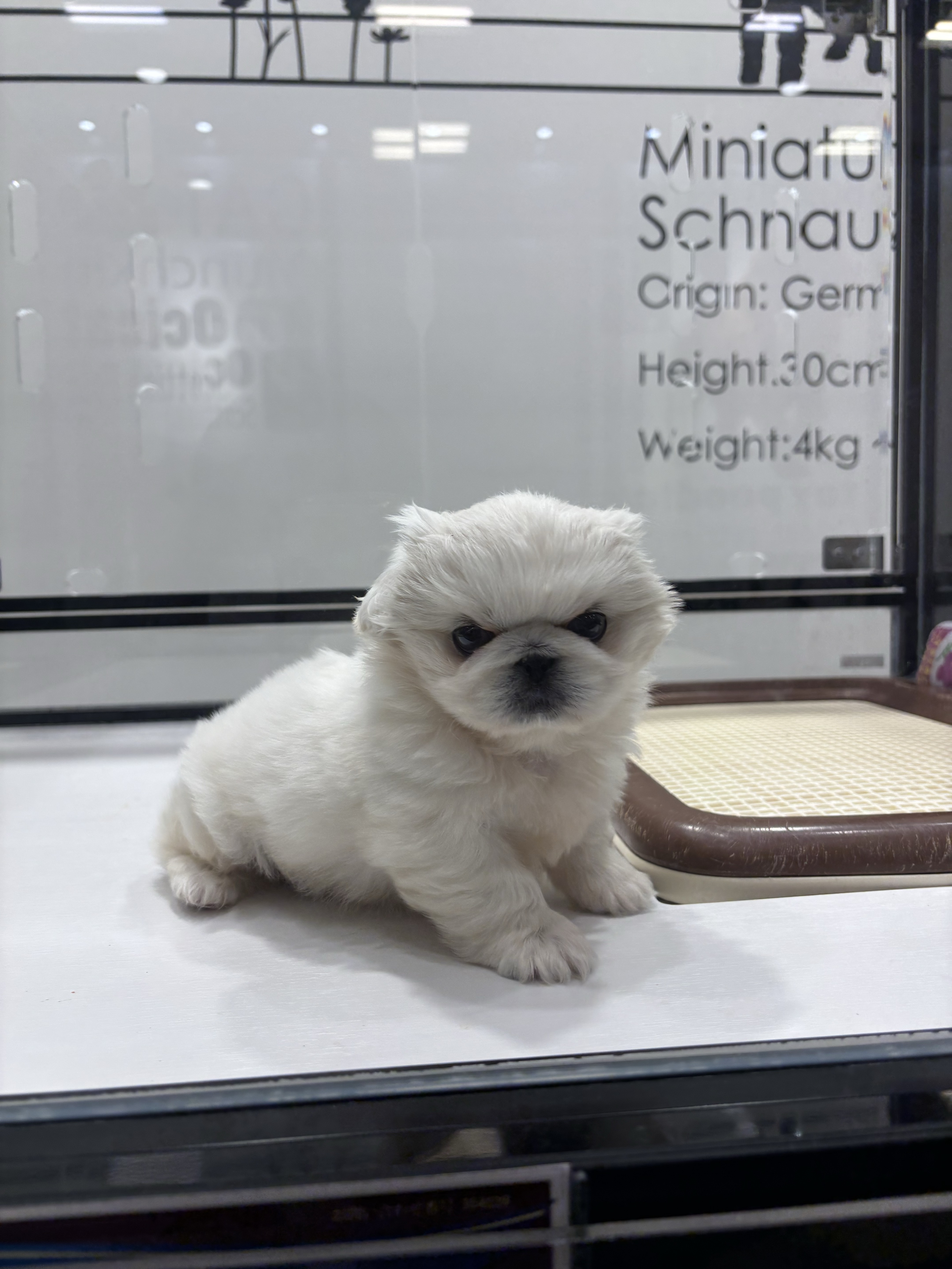 【初◯雑談】ゆったりまったりฅ⸃⸃