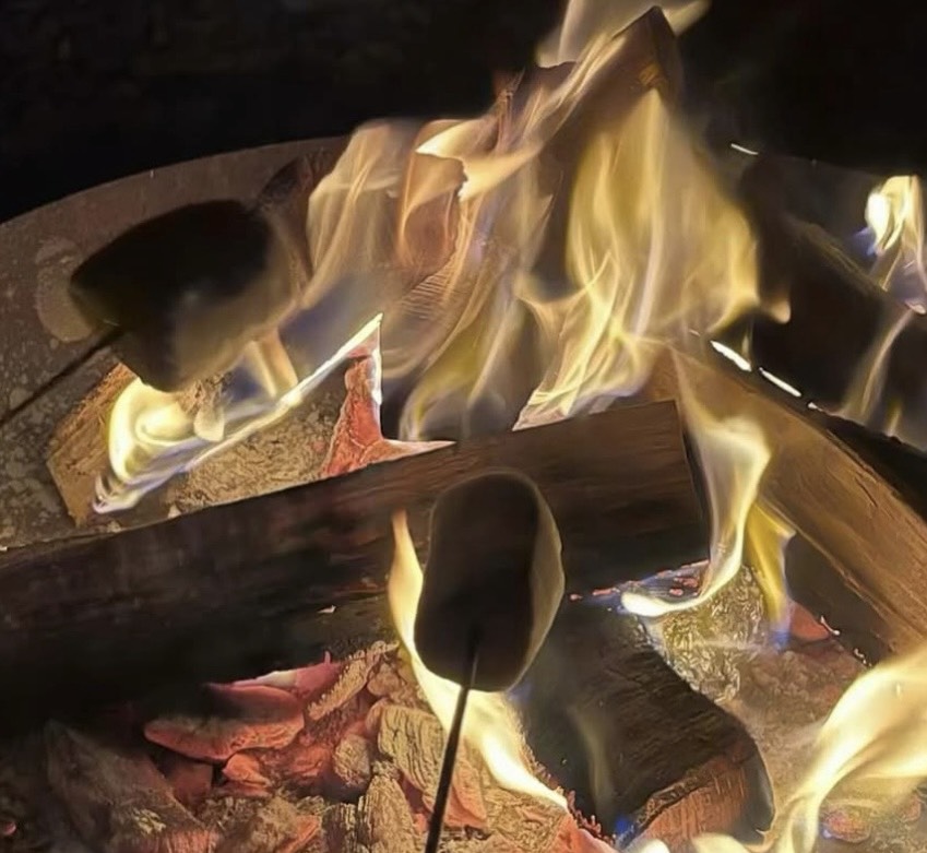 🌷無酸素配信中📡𓂃🫧‪🌷初〇