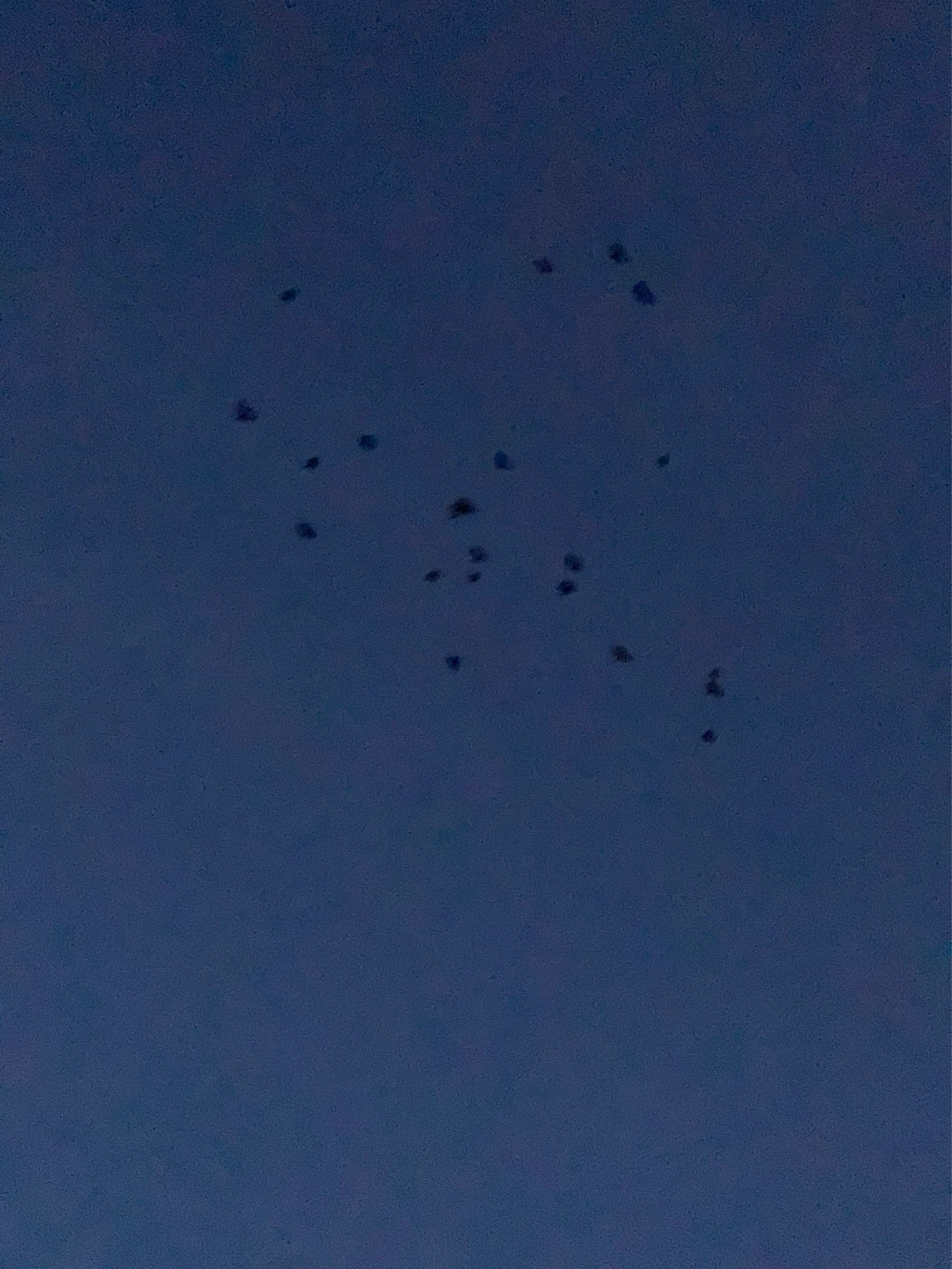 話し相手ほしい ねおちでも🙆‍♀️🔞