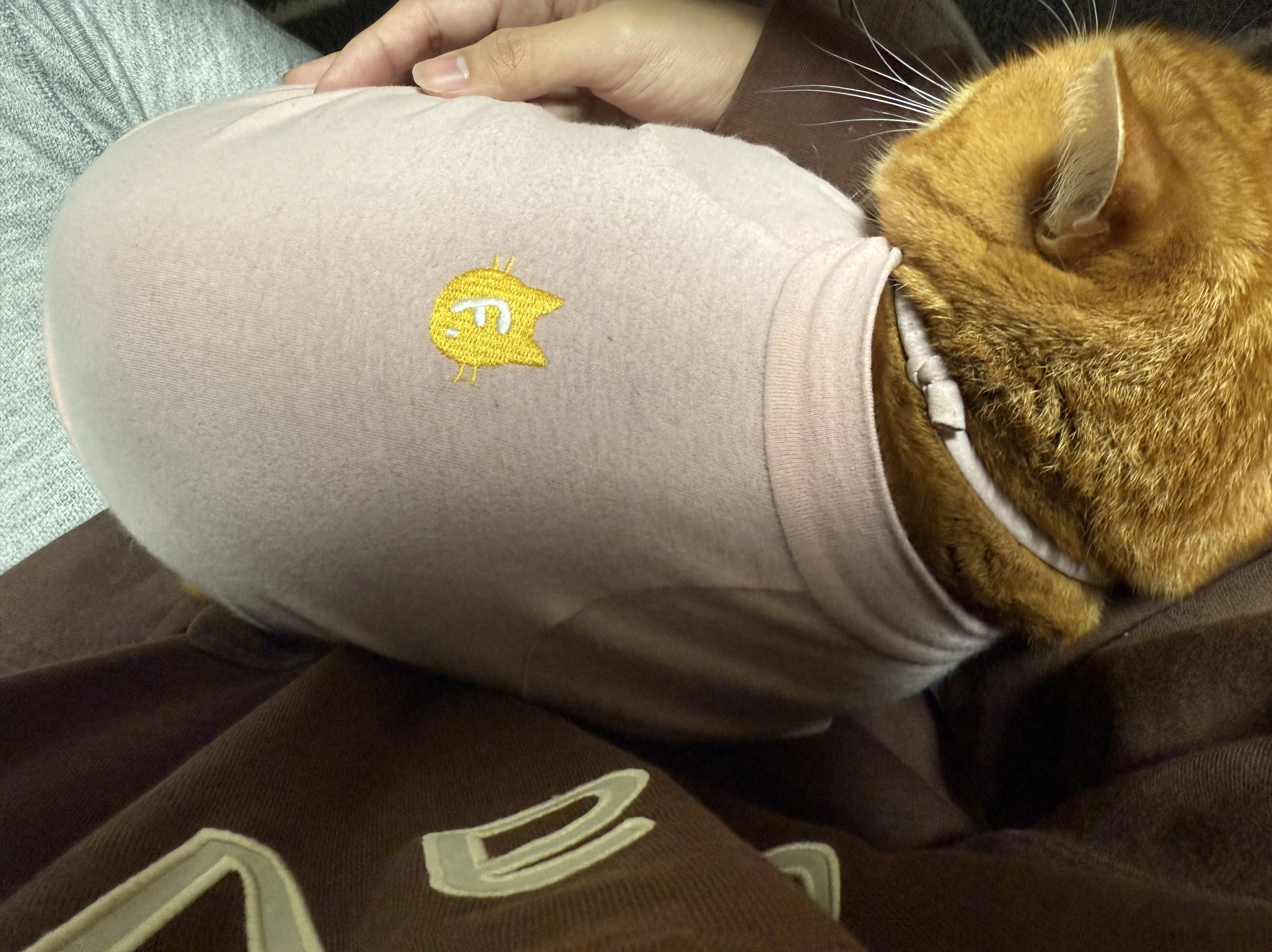 寝起きに優しい声‪𓂃 𓈒𓏸