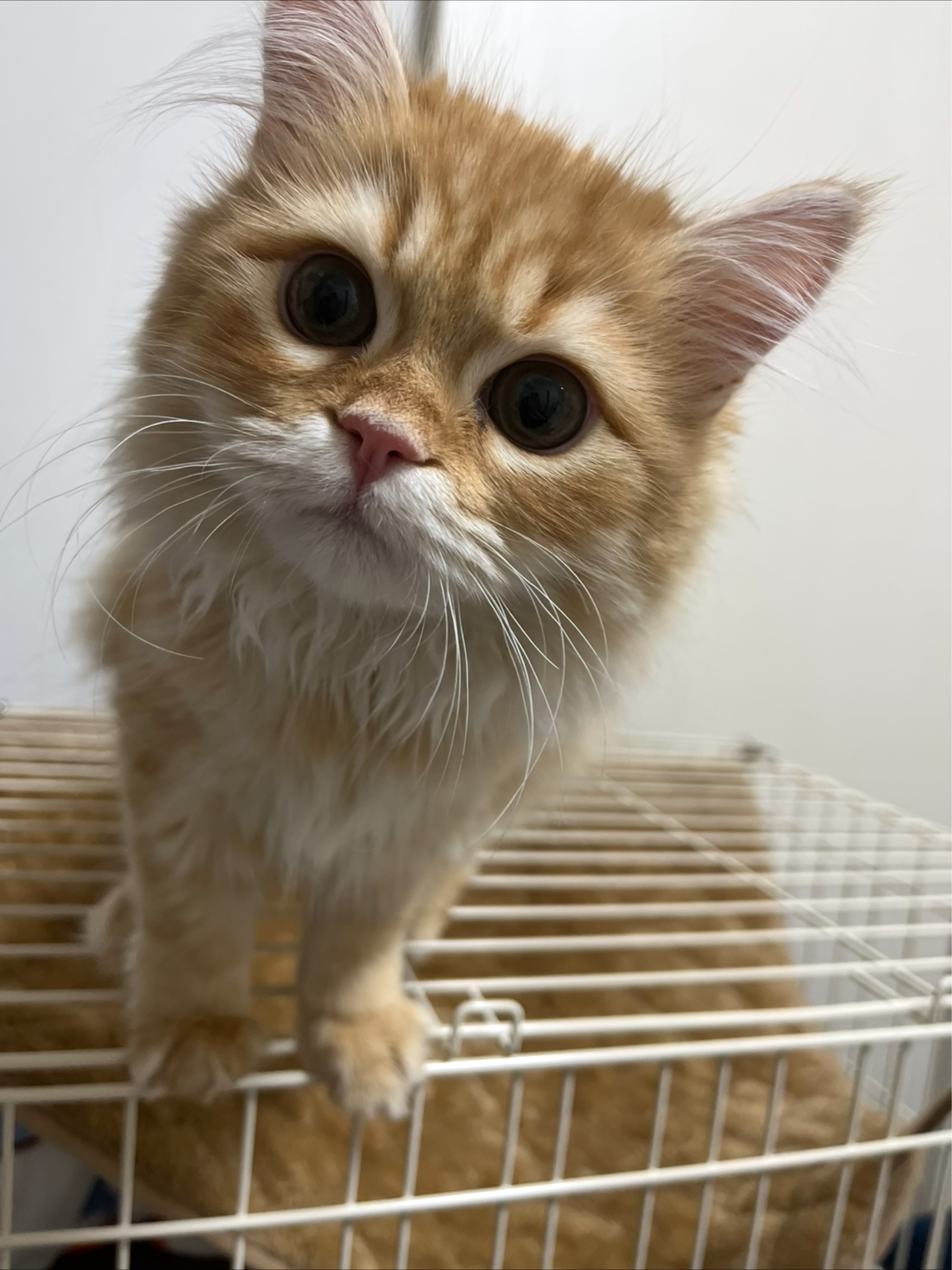 初見さん入っておいで〜‎🤍