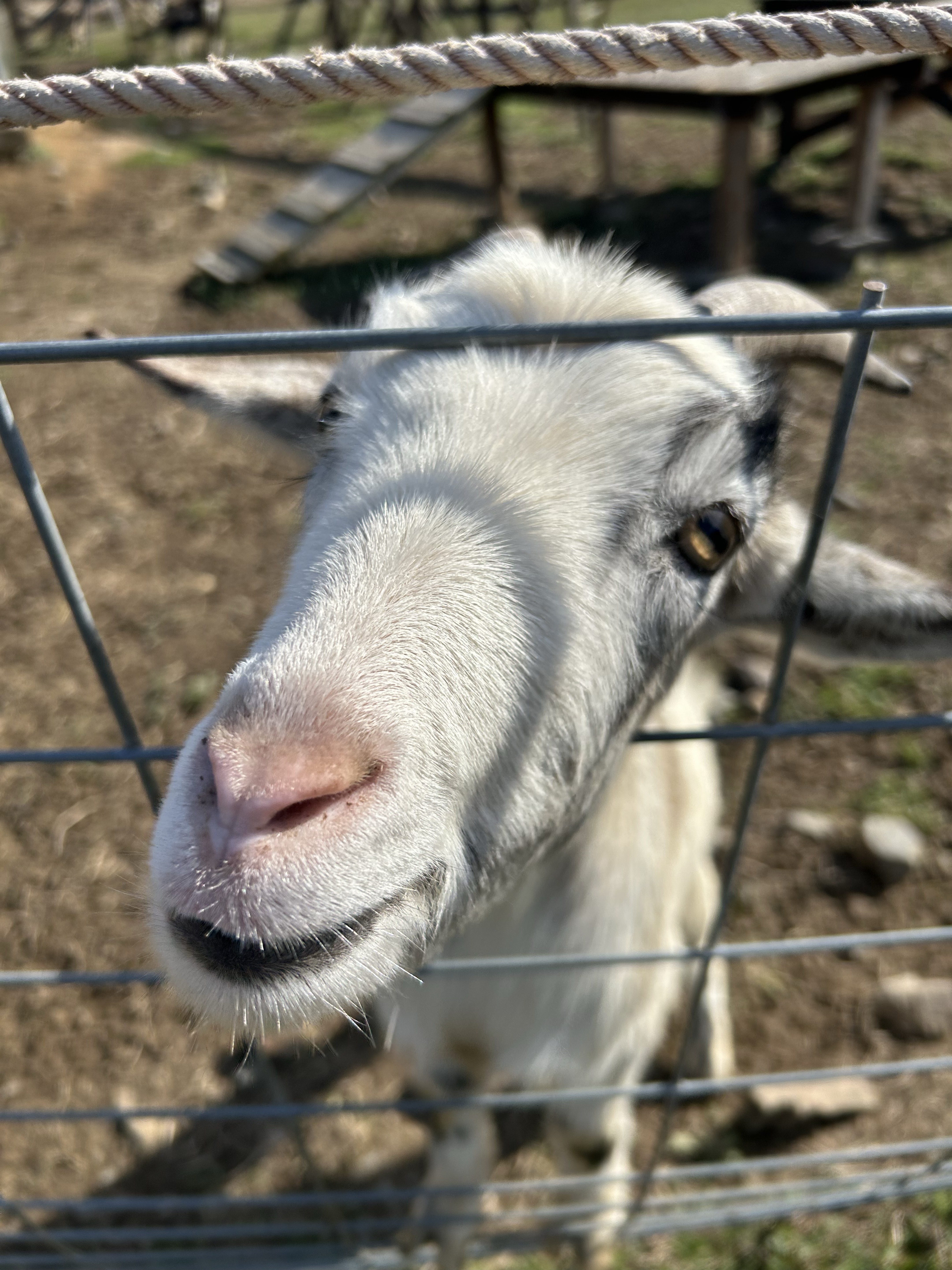 -8:15¦きいてみて .