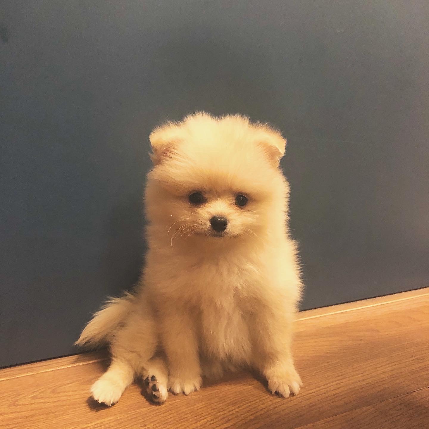 1h おはよう世界❕