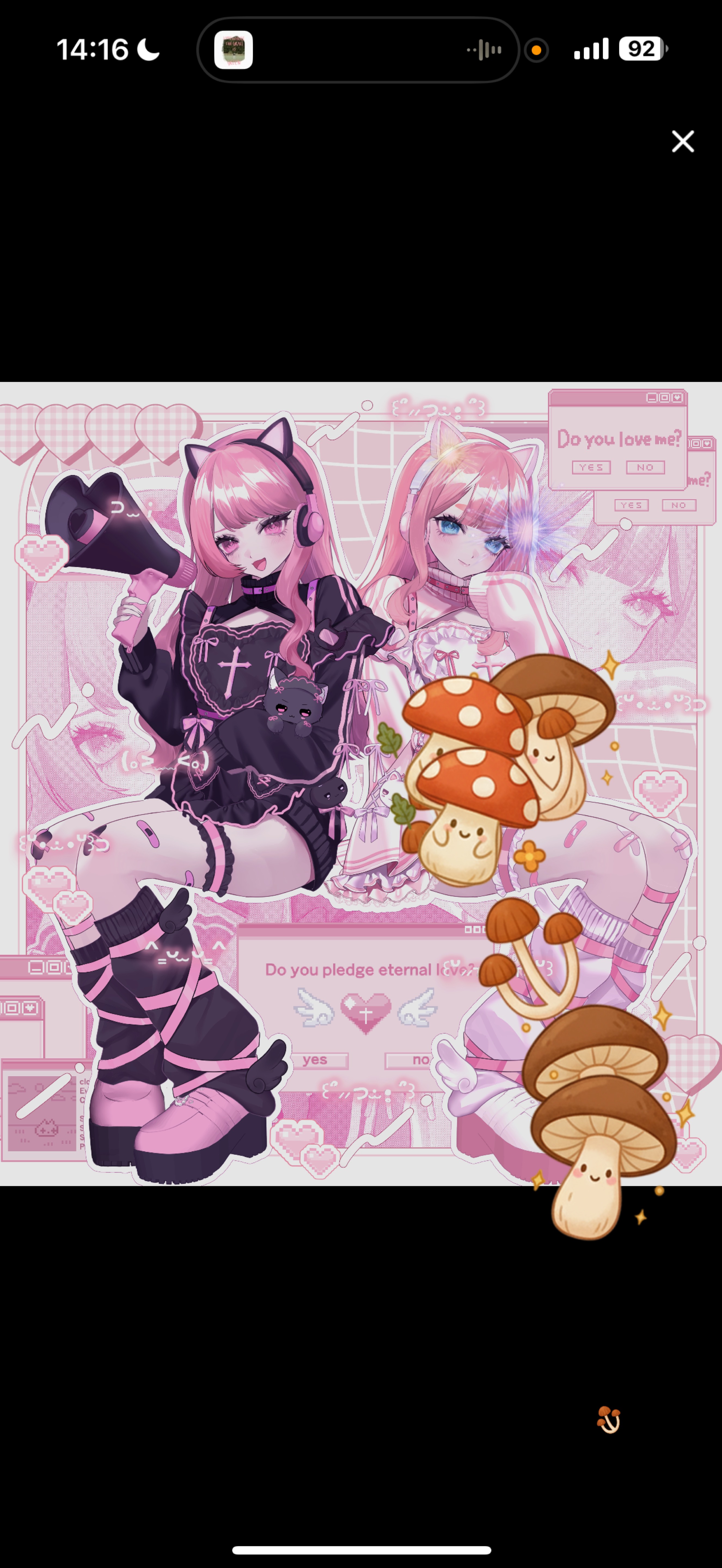 お昼のBGMに🍽🤍