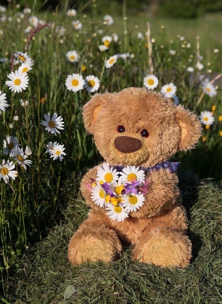 少しだけお話しませんか？寝落ち枠