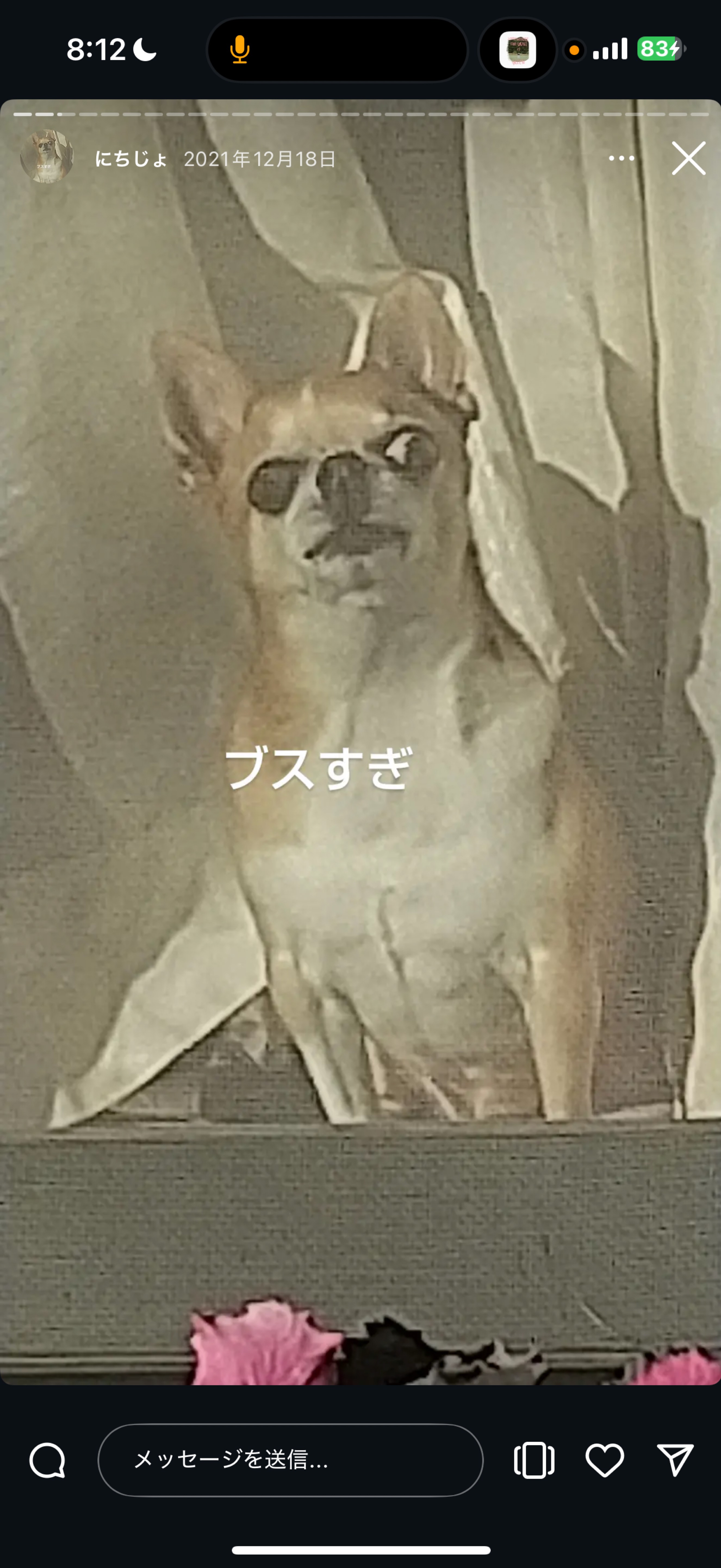 朝のBGMに🌿🥯