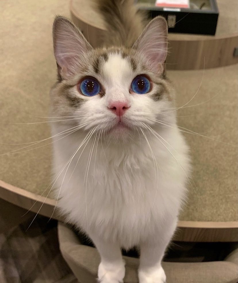 どこよりも暖かく。