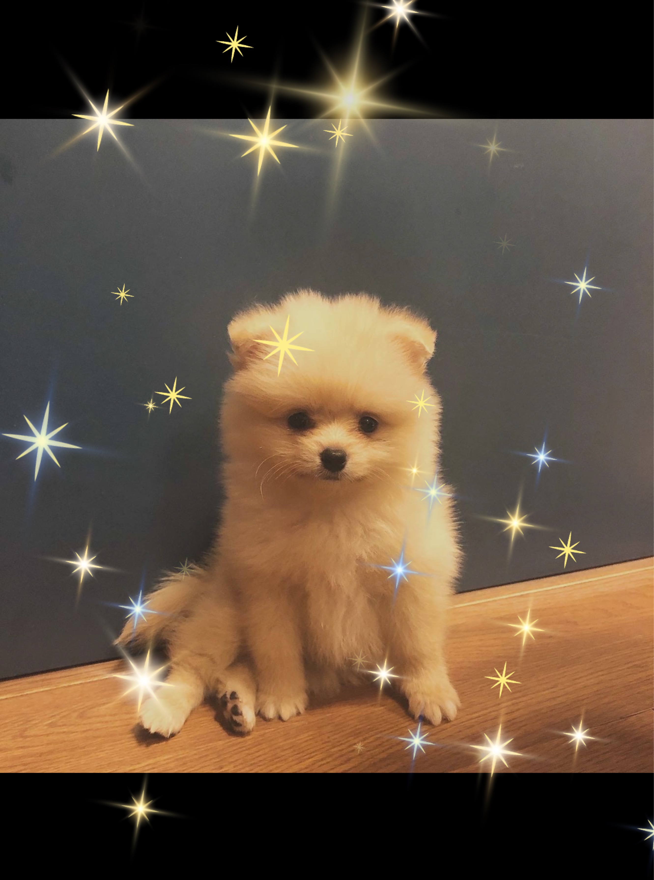 1h おはよう世界❕