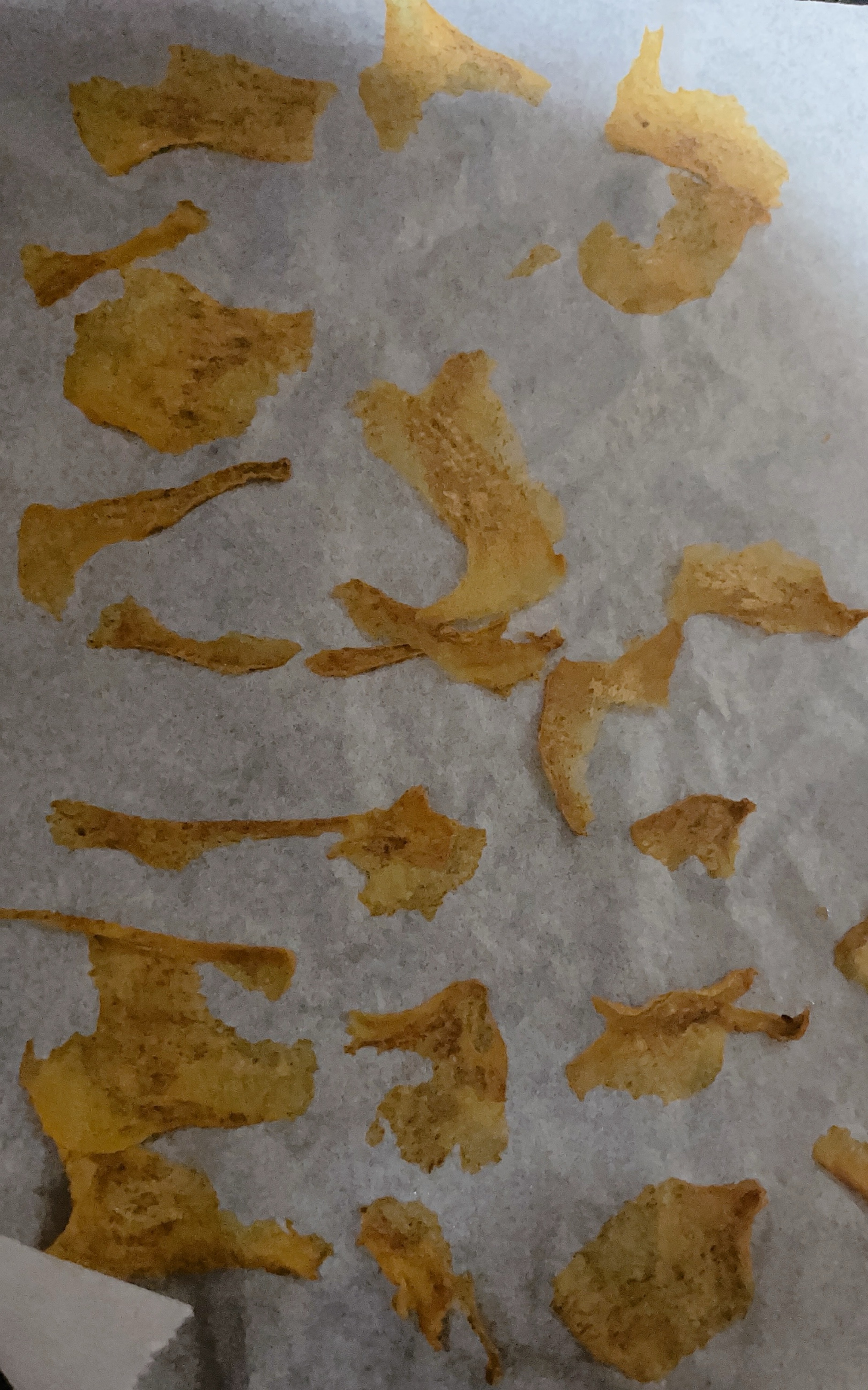 もんちゃ伝授ドラフル15分