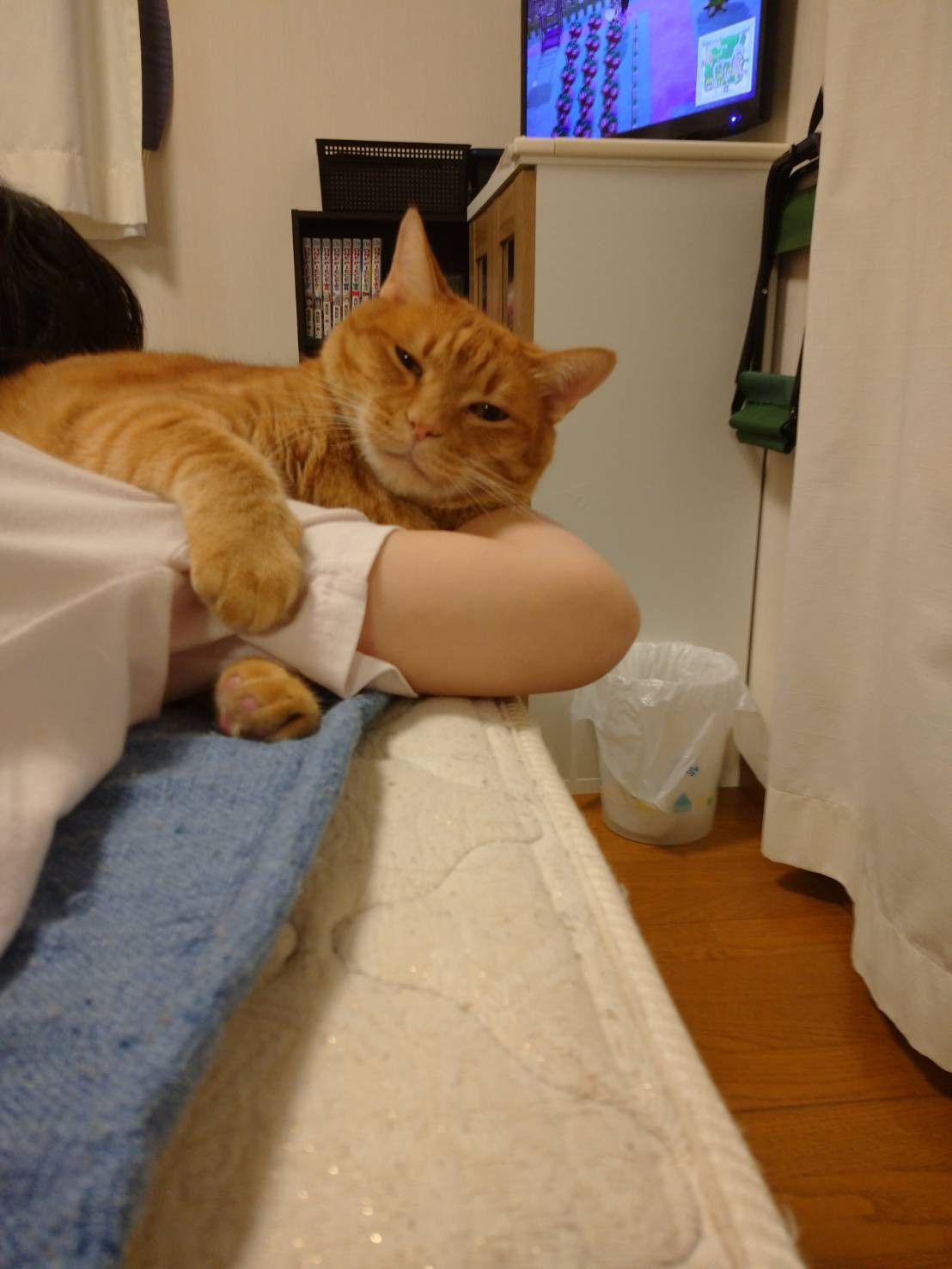 まっちょるよ❣️