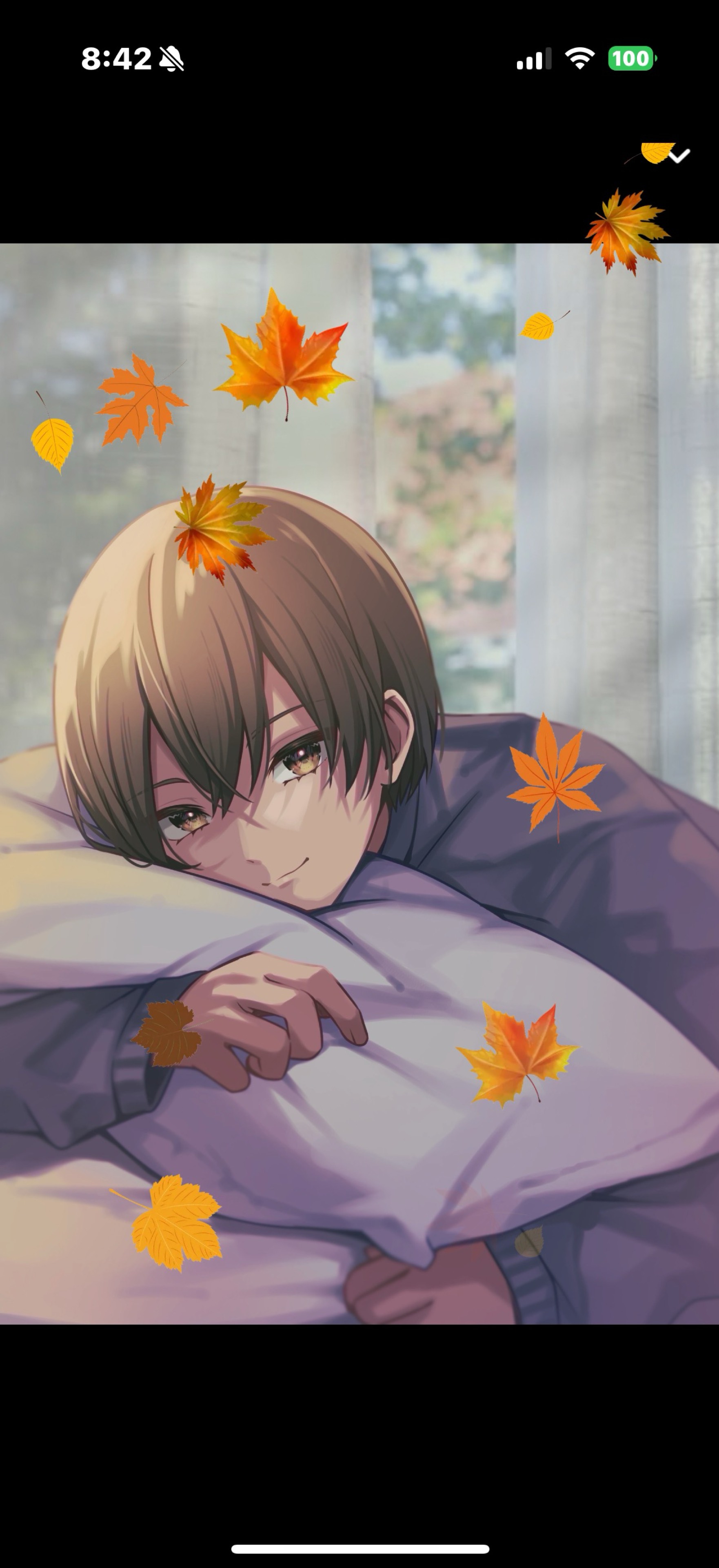 🔥朝枠バトル⚔️ボーダー95