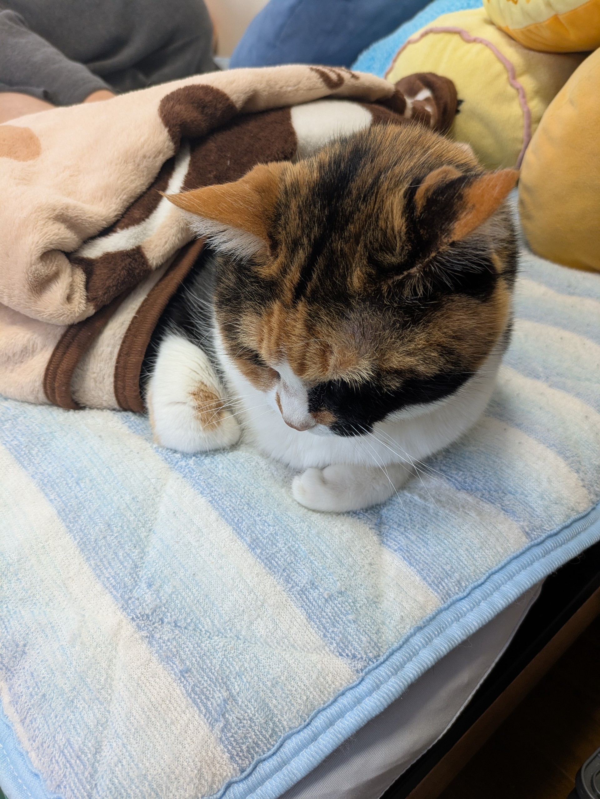 まっちょるよ❣️