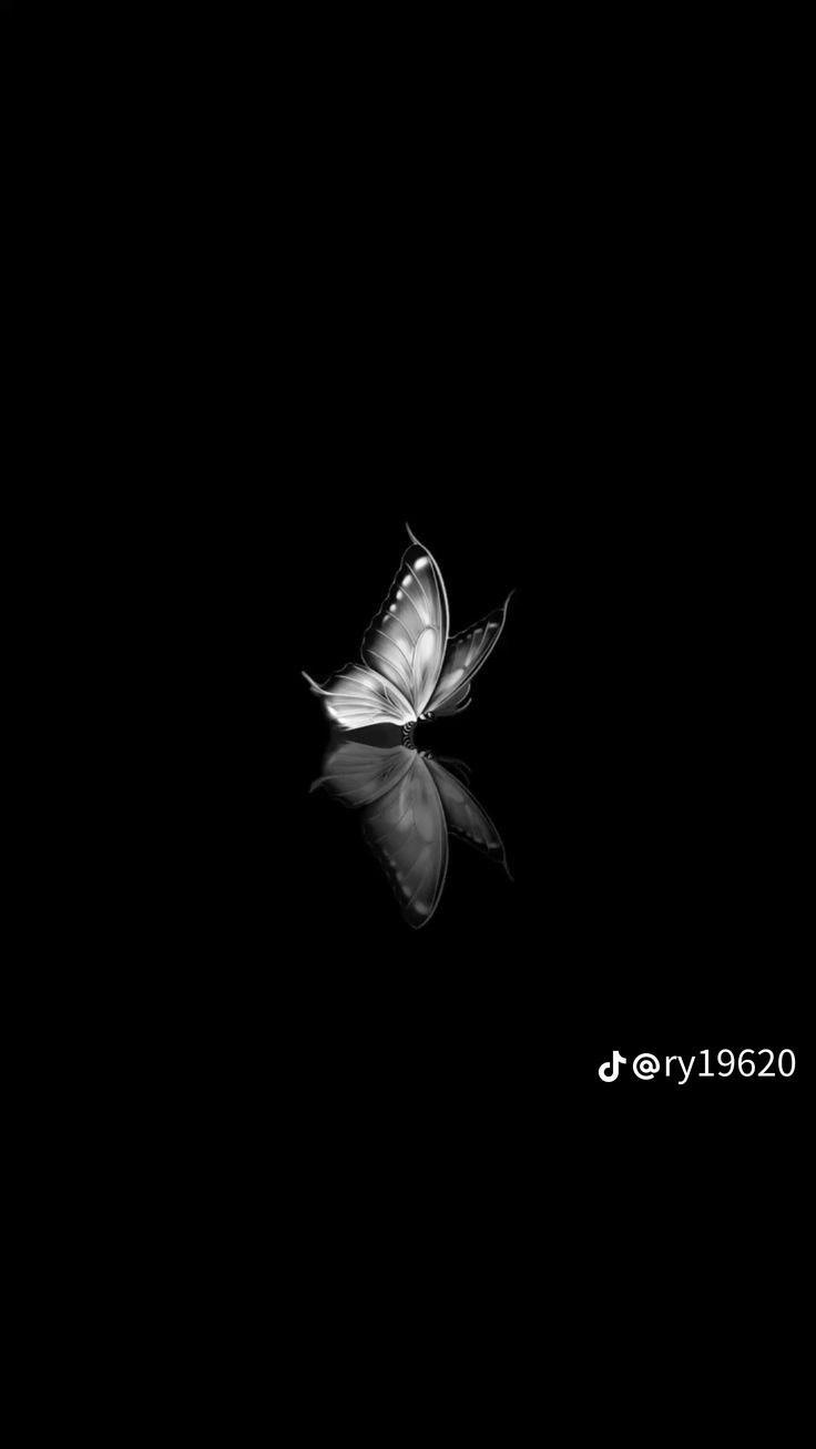 寝落ち配信おきてるこ俺の事朝起何時でもよ