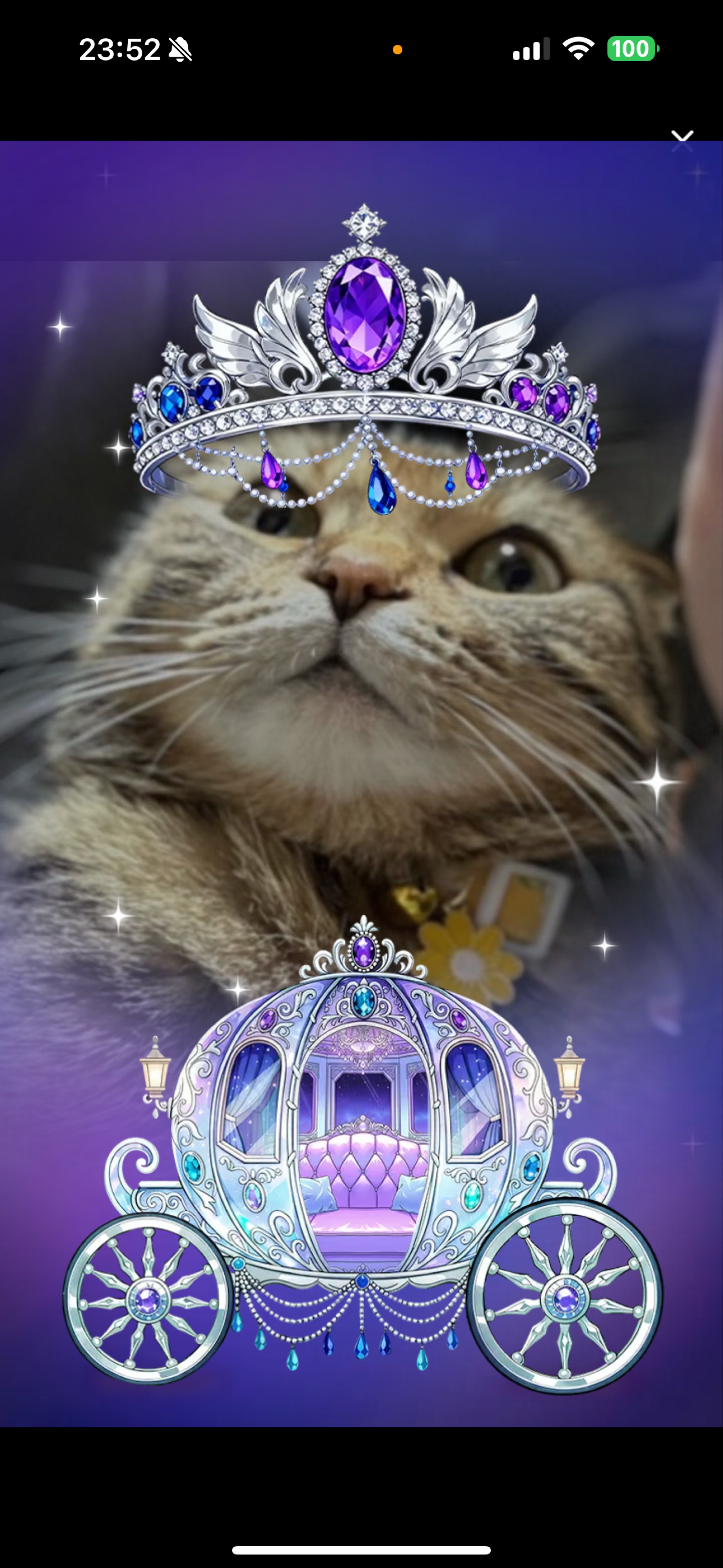 11/28   1缶付き合えよ