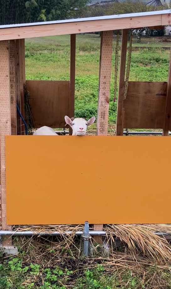 🔰話し相手になってよ