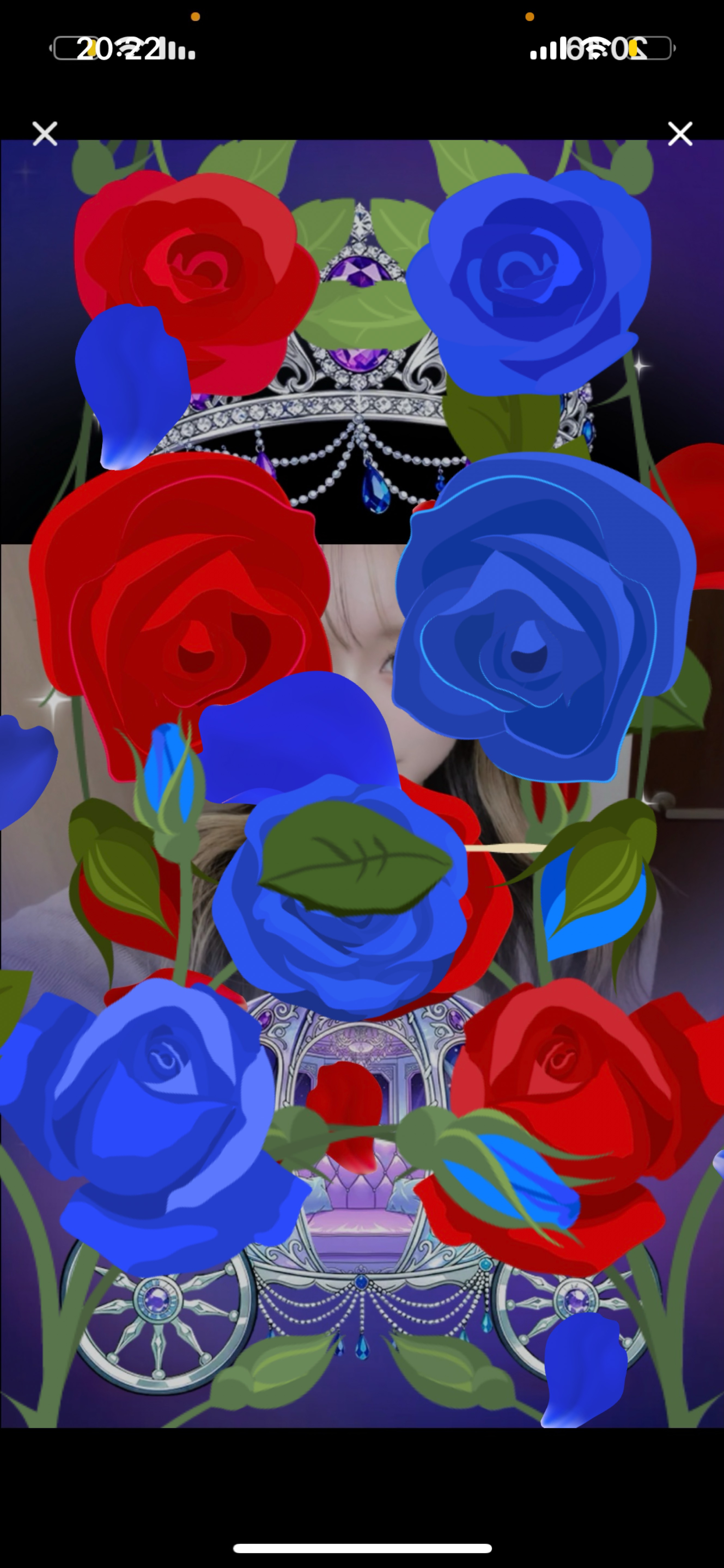 投票権ちょーだい！