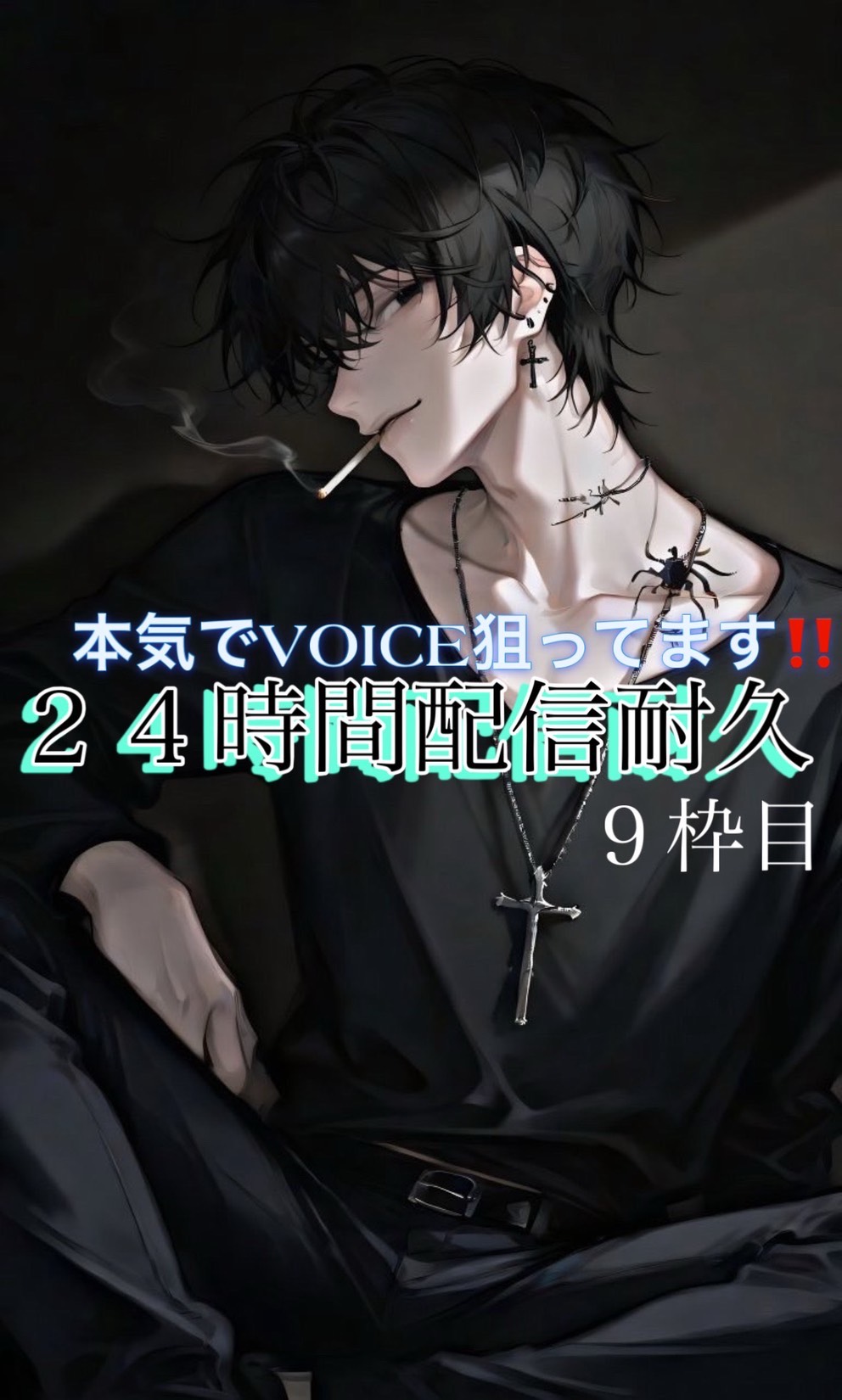 voice追い上げ24時間耐久