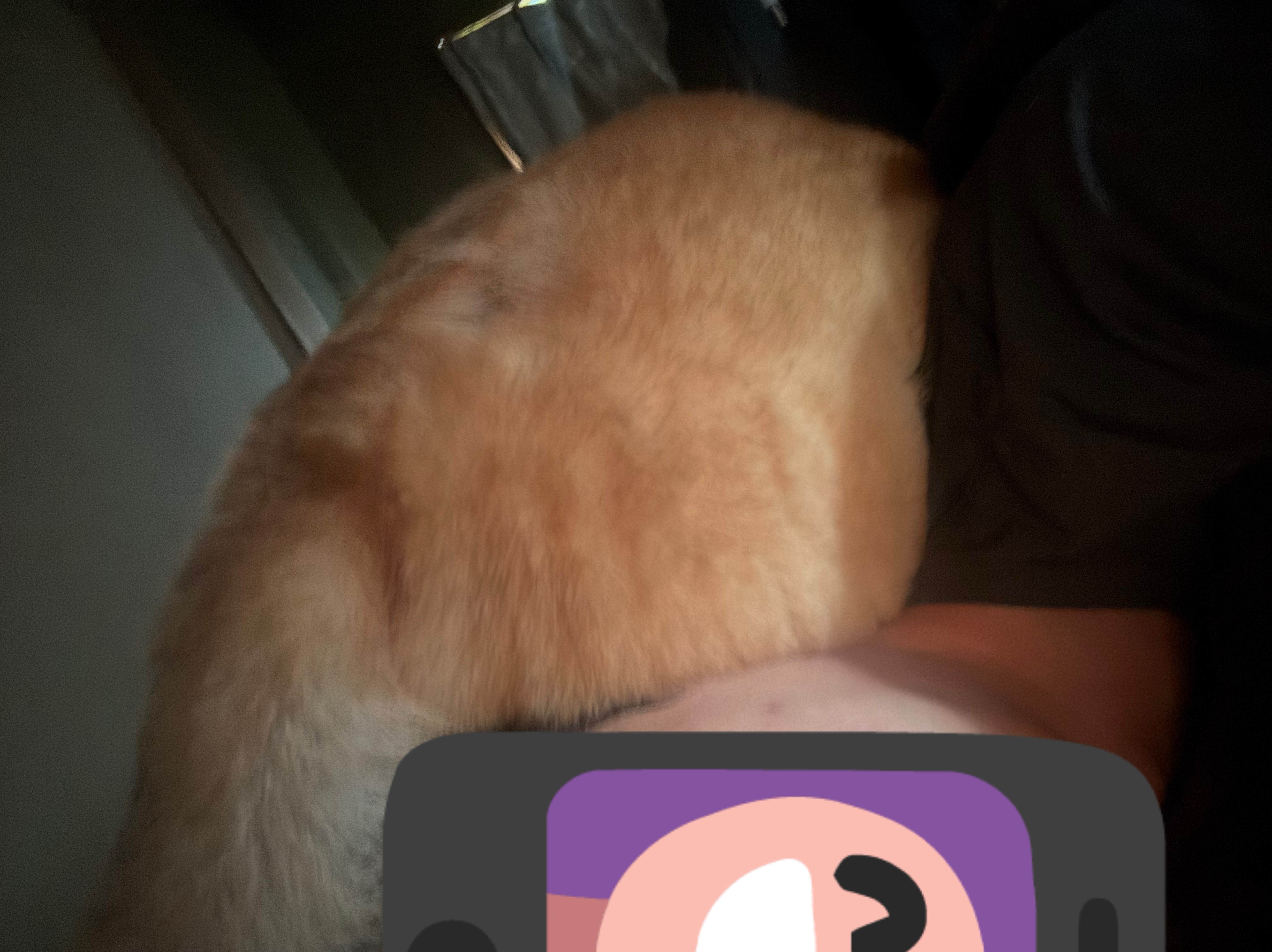 初潜◎一旦覗いてみない？