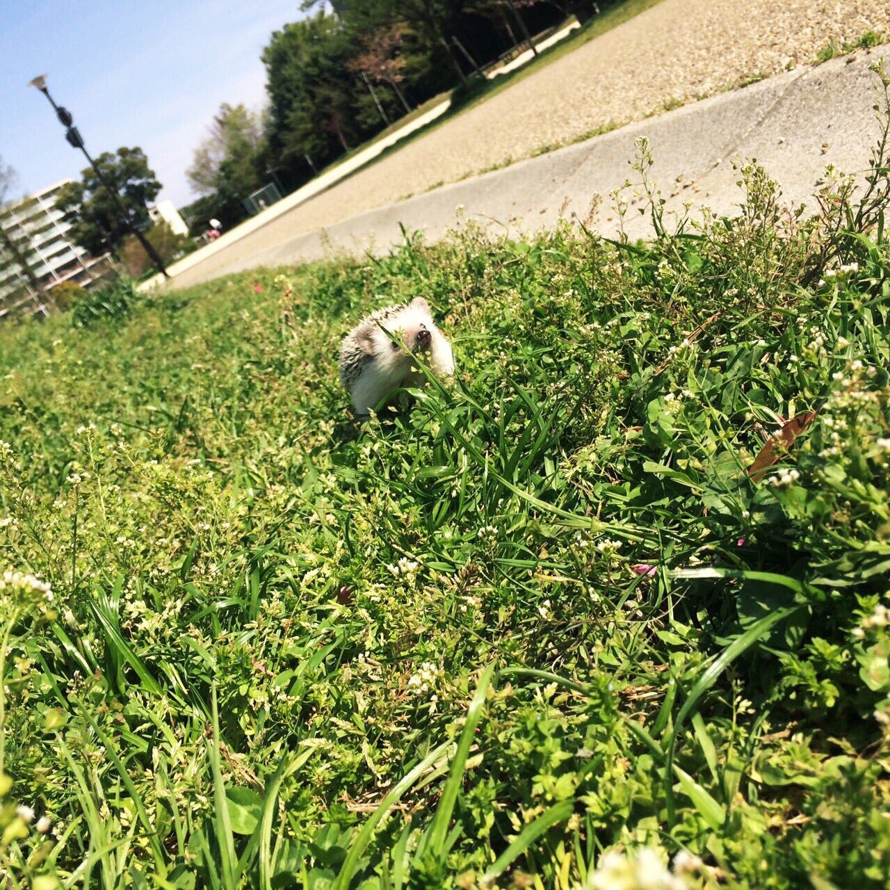 おはようございます🔆‬