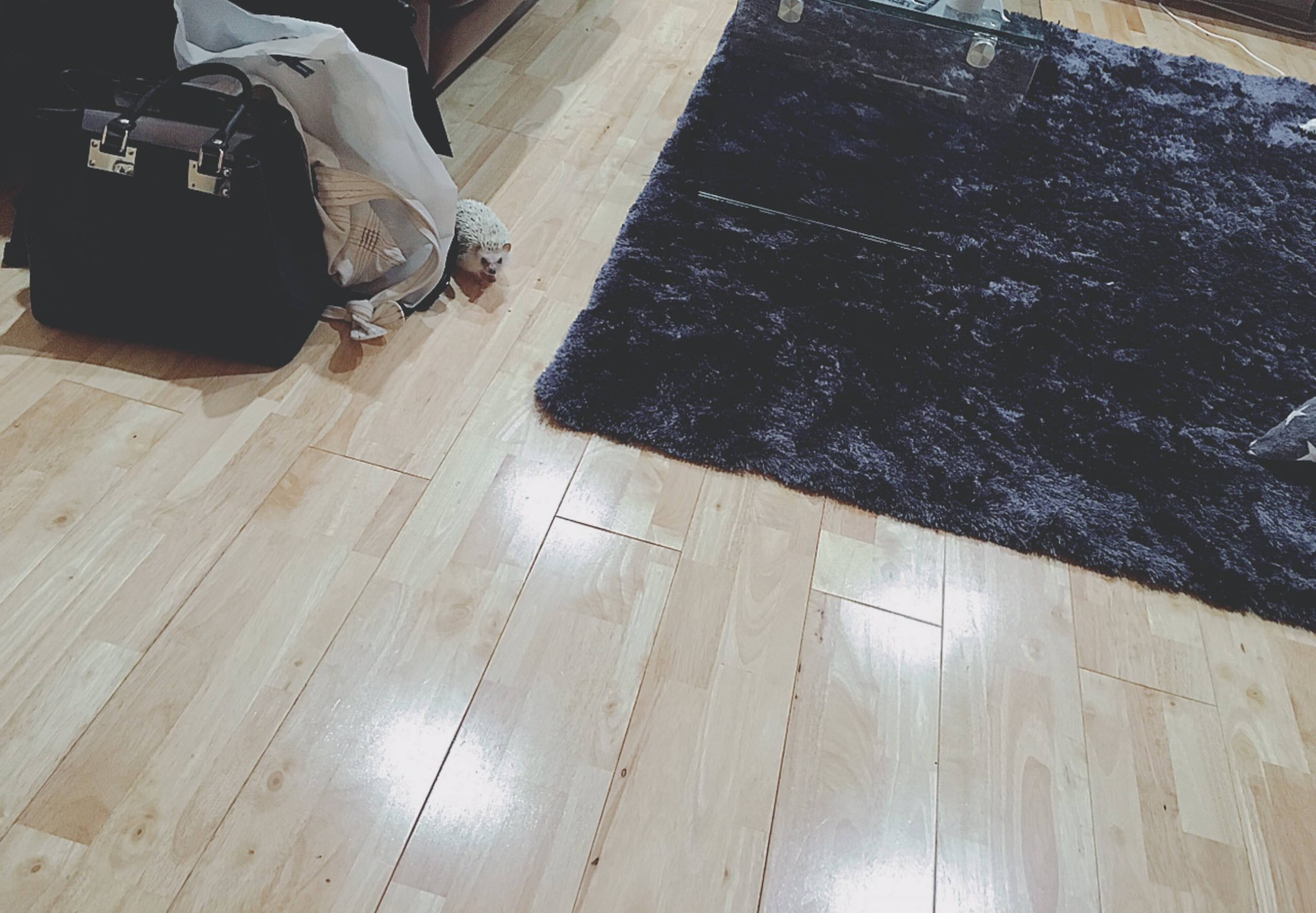 おはようございます🔆‬