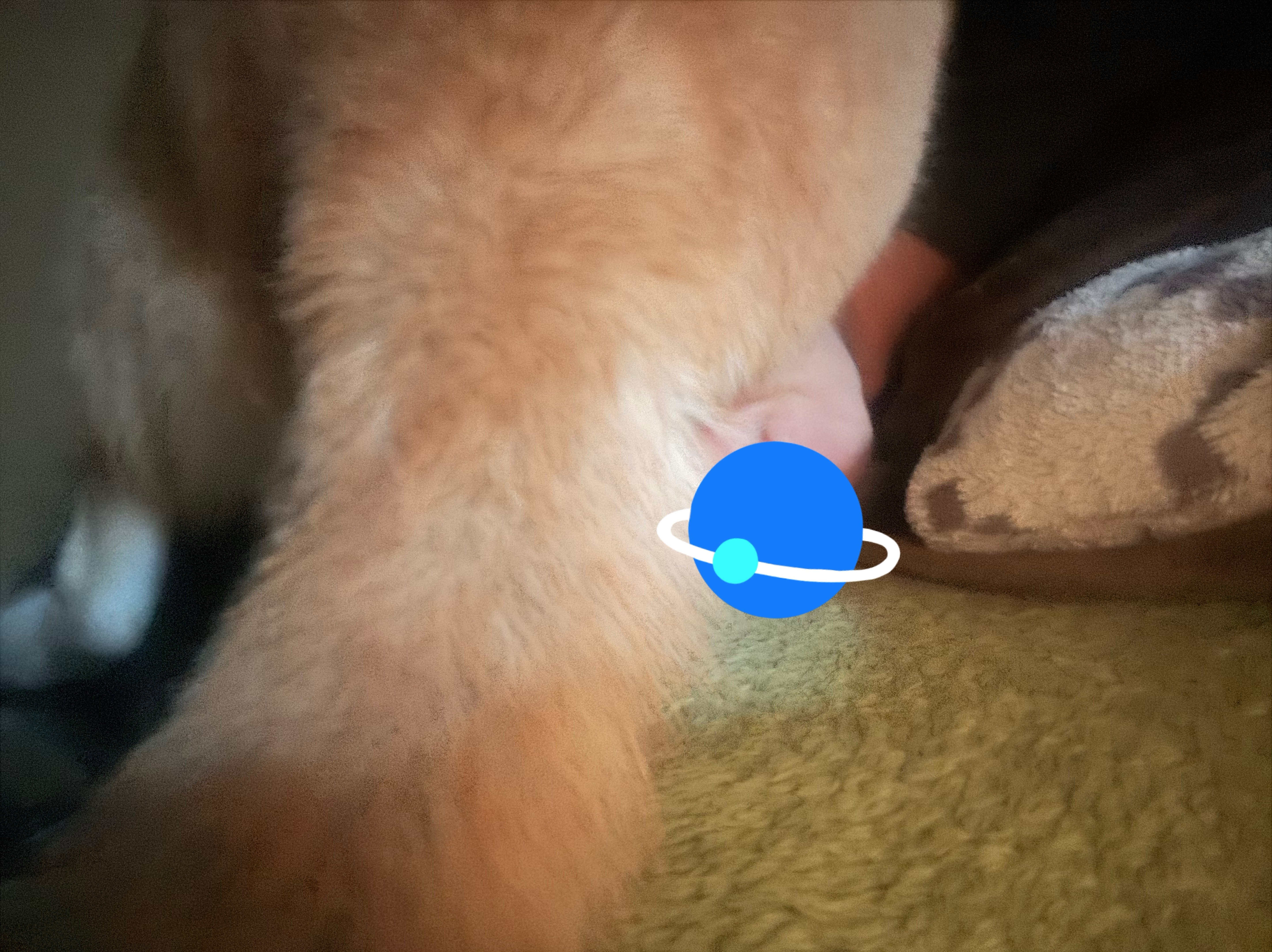 初潜◎一旦覗いてみない？