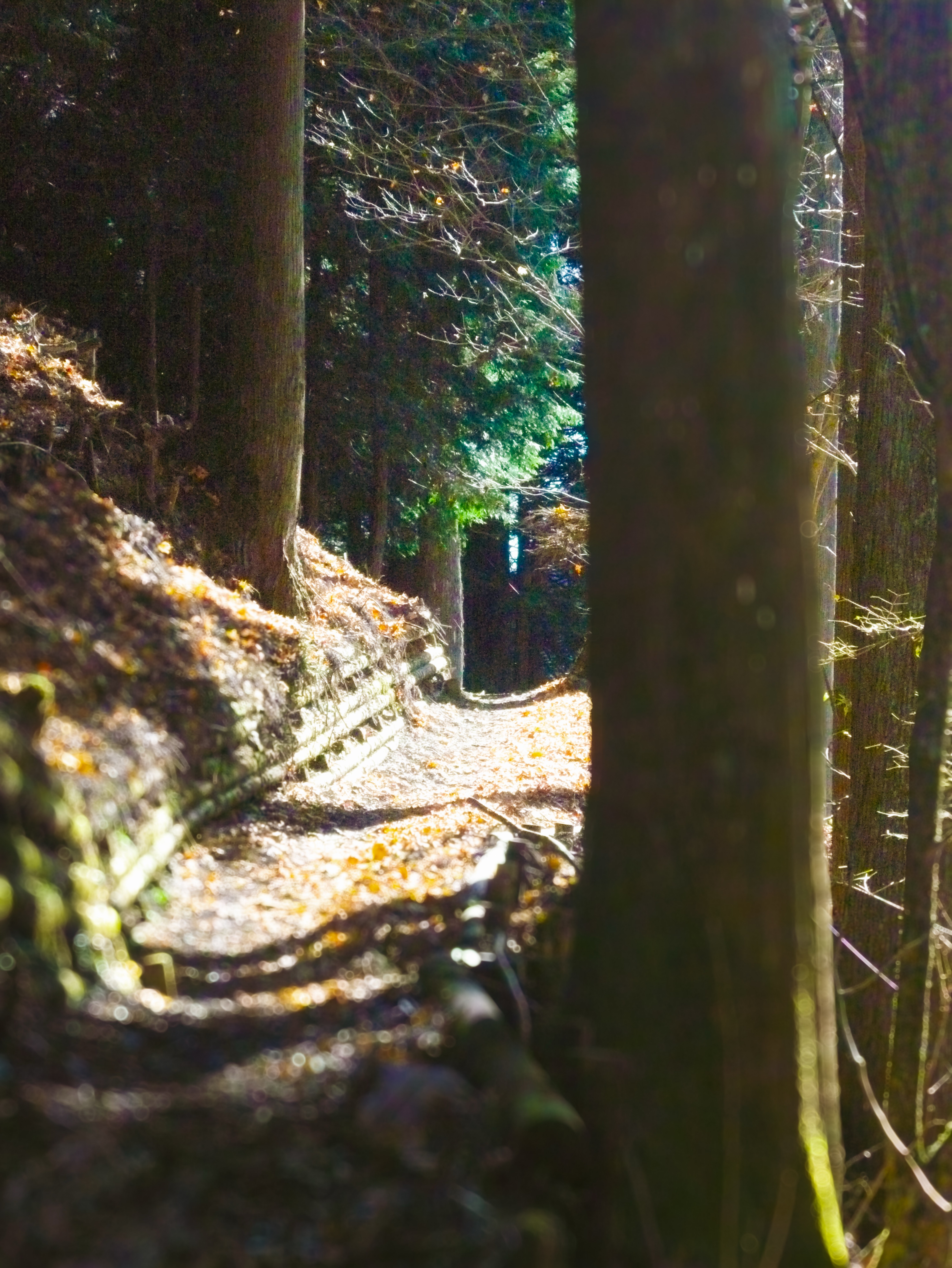 33おじの暇つぶし