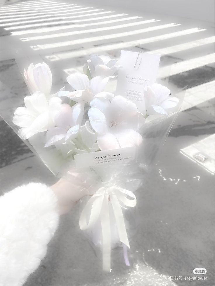 少しだけ！たくさんおはなししましょ！