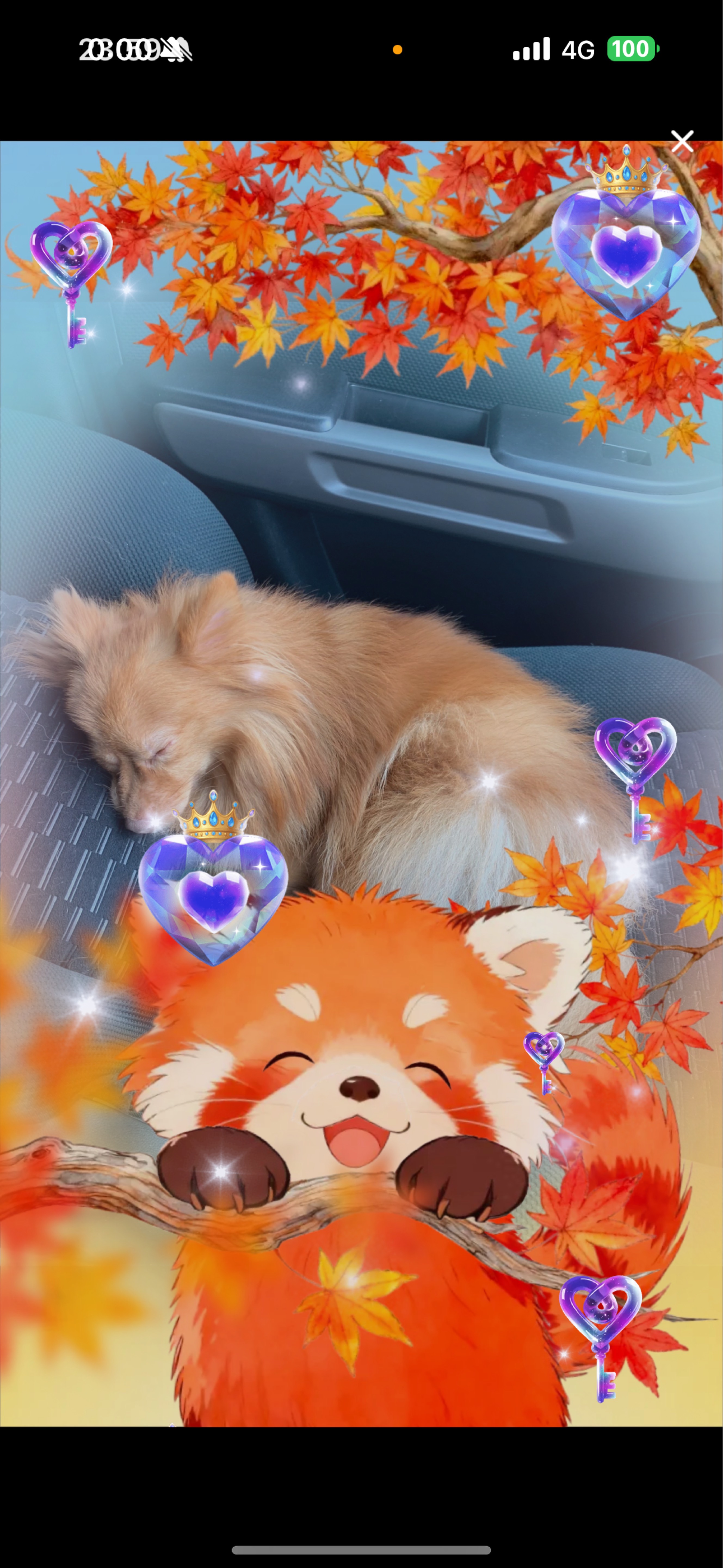 11/30   1缶付き合えよ