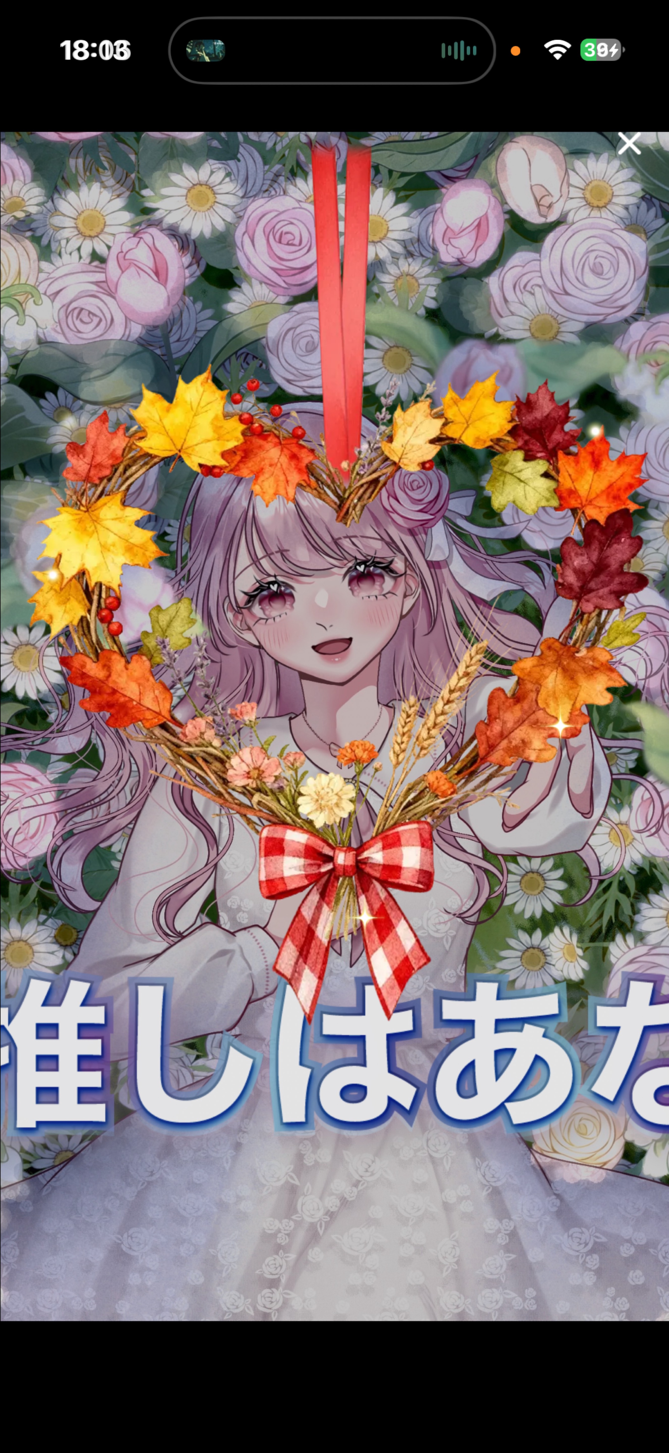 1h 癒し時間🌇♡￤初見/潜◎