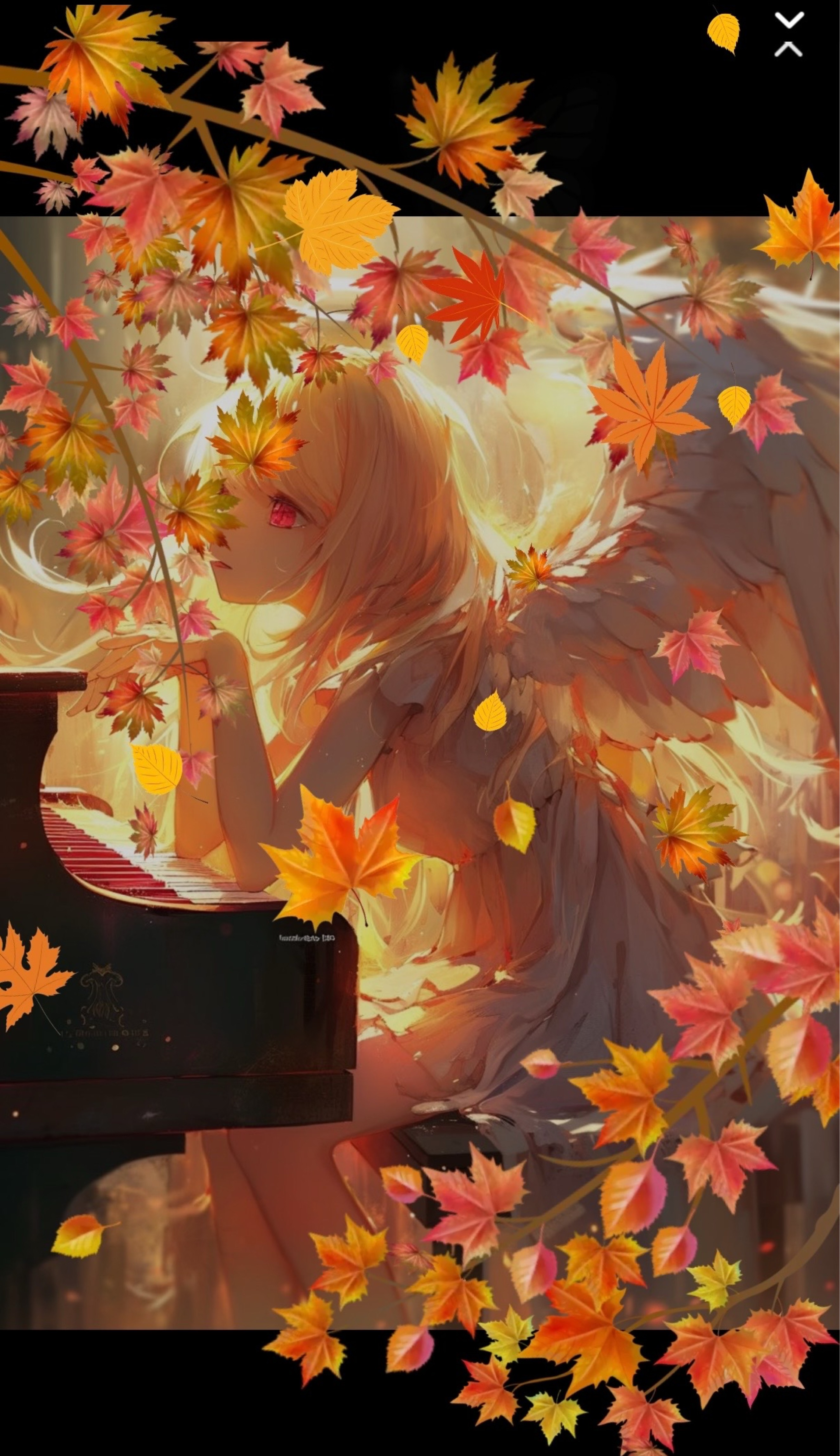 弾き語り🎹/機材歌